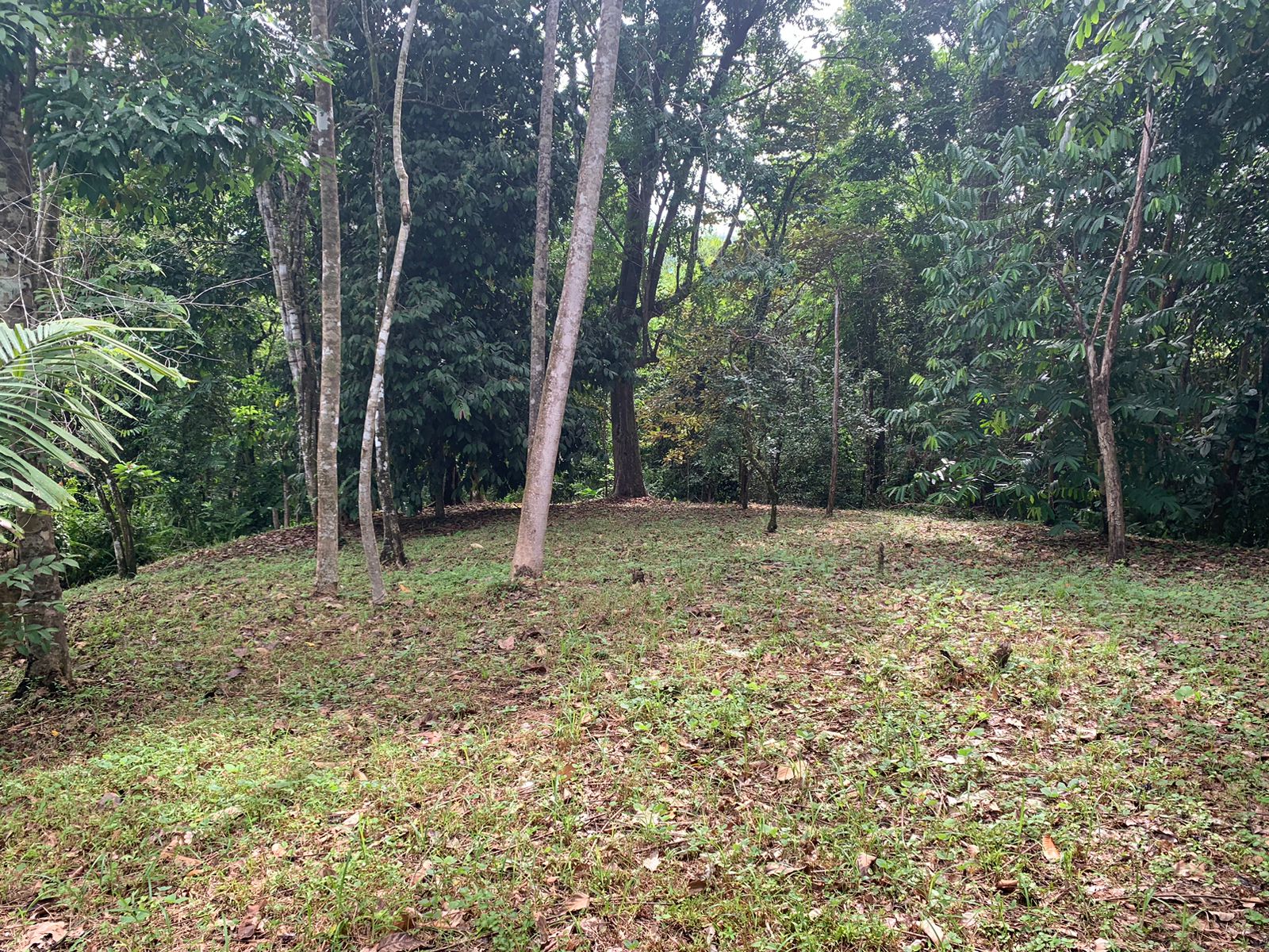 0 bed Land For Sale in Ojochal, Puntarenas - thumb 15