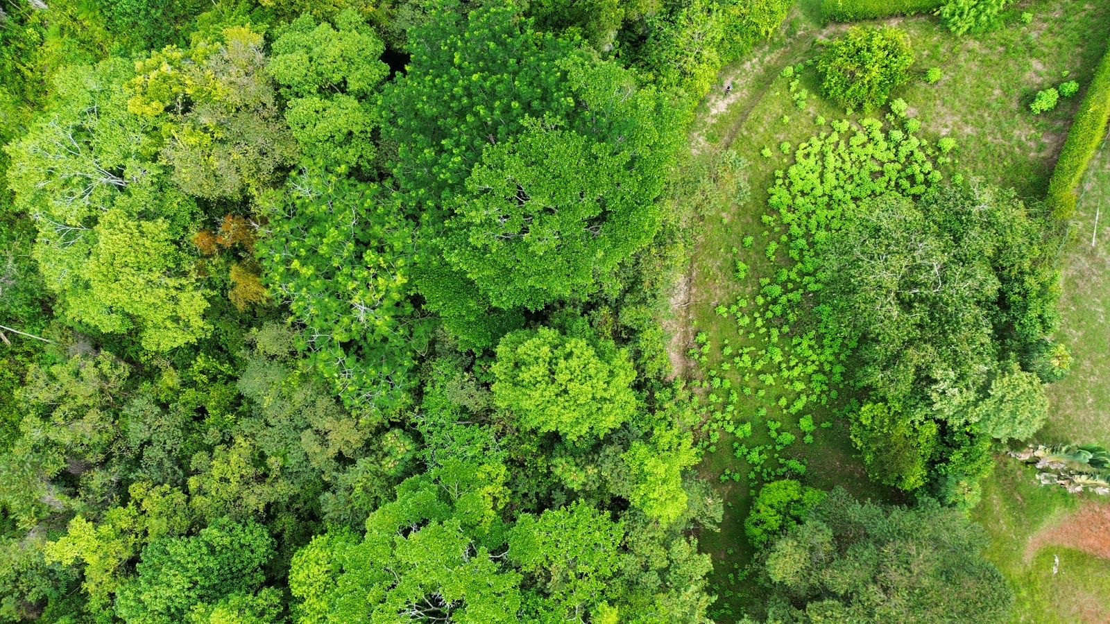 0 bed Land For Sale in Ojochal, Puntarenas - thumb 7