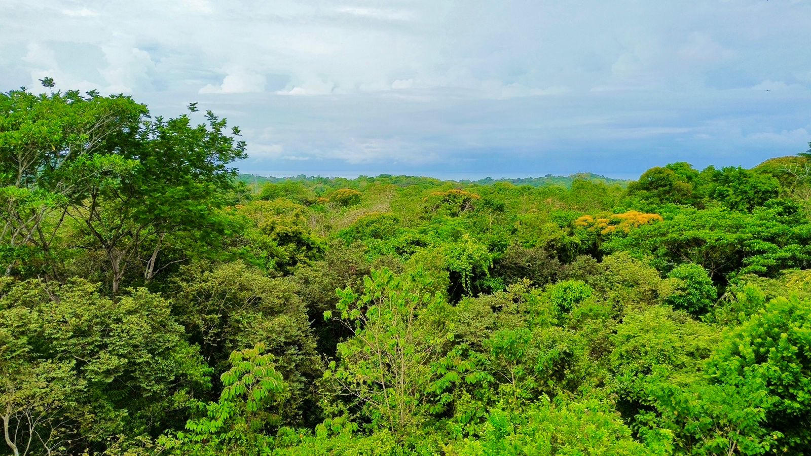 0 bed Land For Sale in Ojochal, Puntarenas - thumb 2