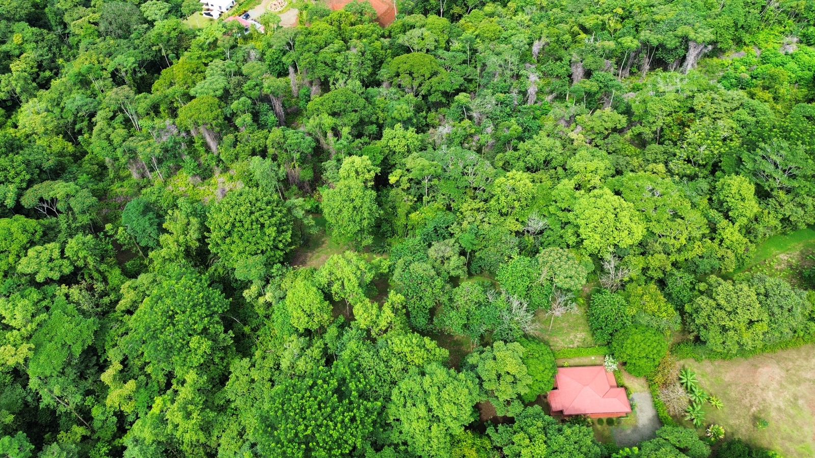 0 bed Land For Sale in Ojochal, Puntarenas - thumb 14