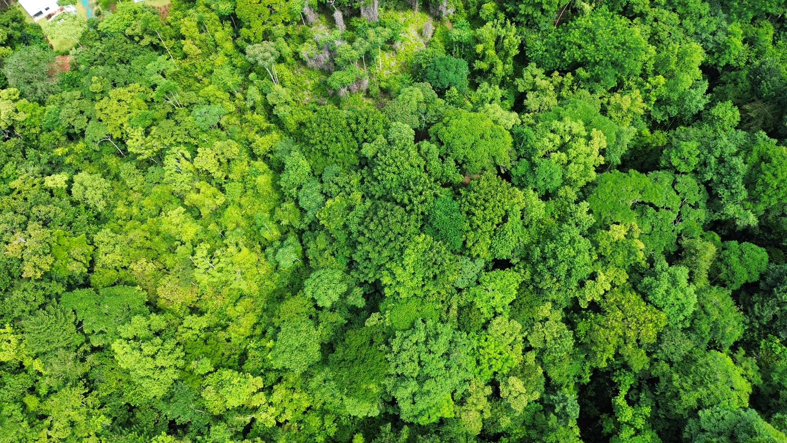 0 bed Land For Sale in Ojochal, Puntarenas - thumb 19