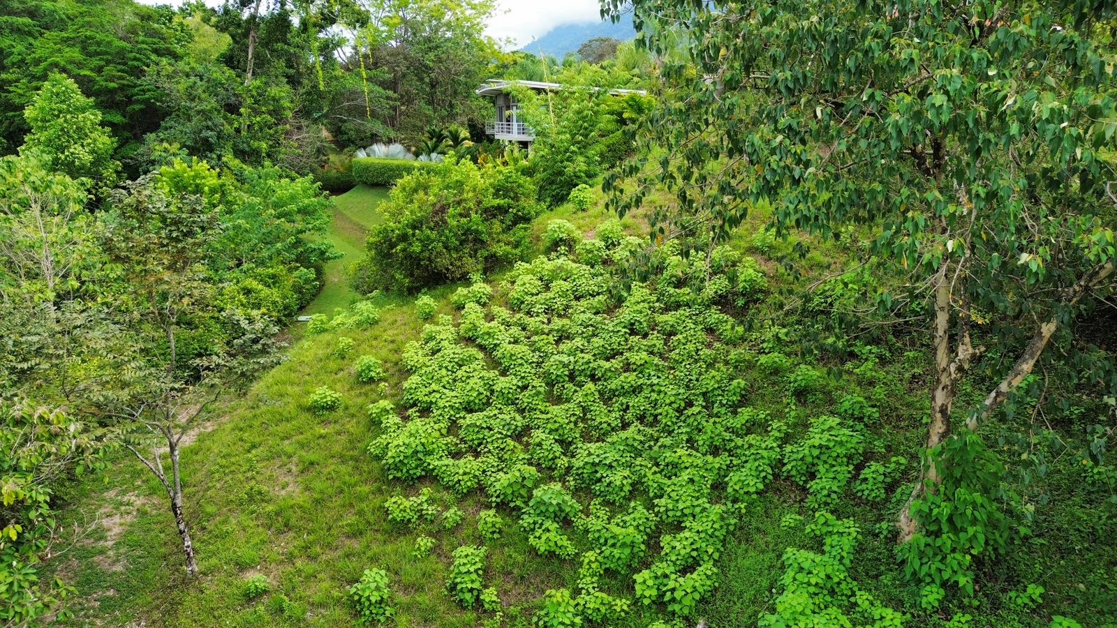 0 bed Land For Sale in Ojochal, Puntarenas - thumb 3