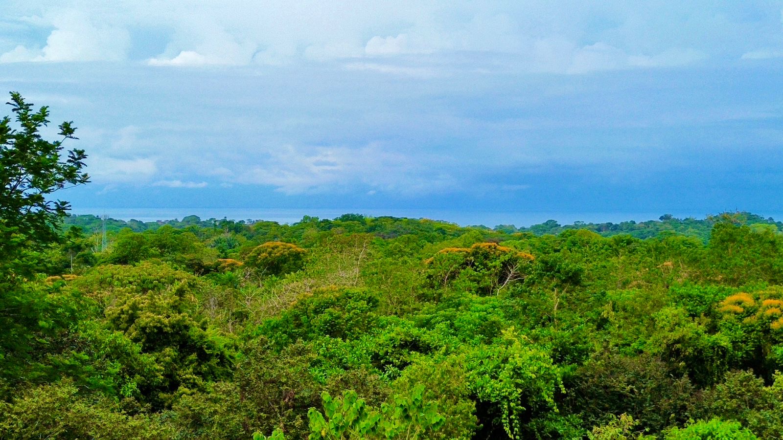 0 bed Land For Sale in Ojochal, Puntarenas - thumb 1
