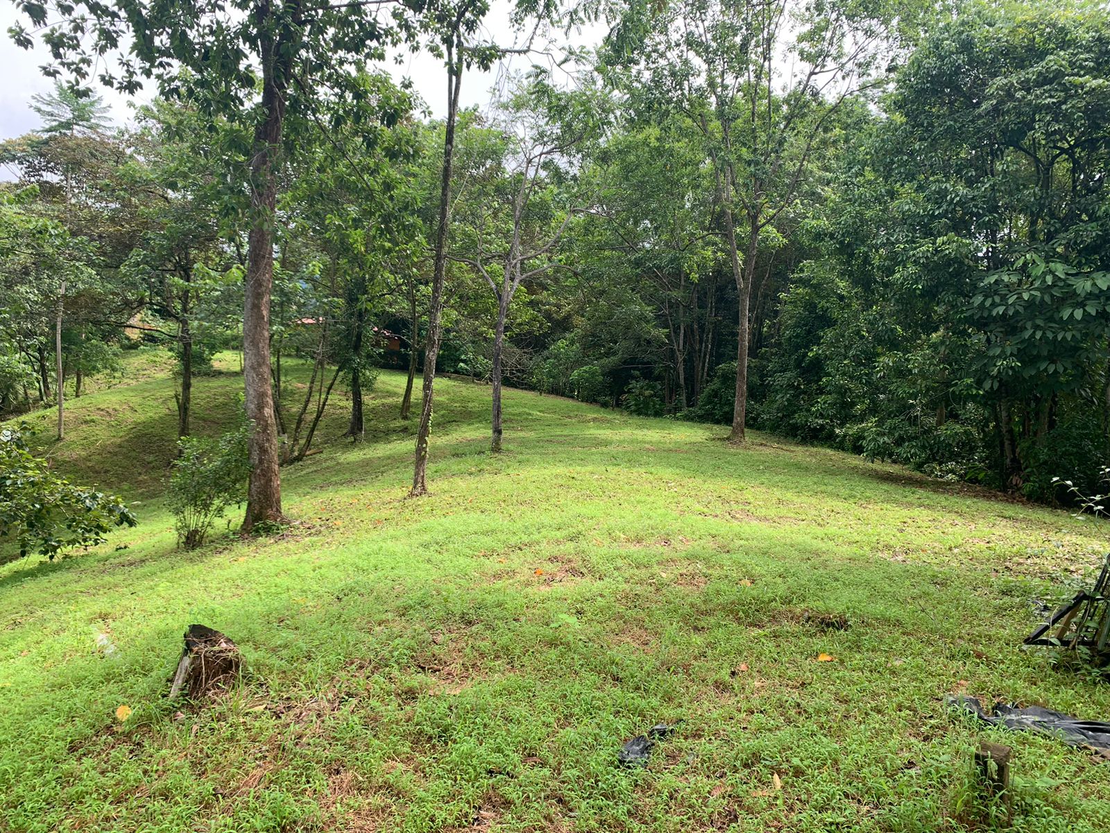 0 bed Land For Sale in Ojochal, Puntarenas - thumb 12