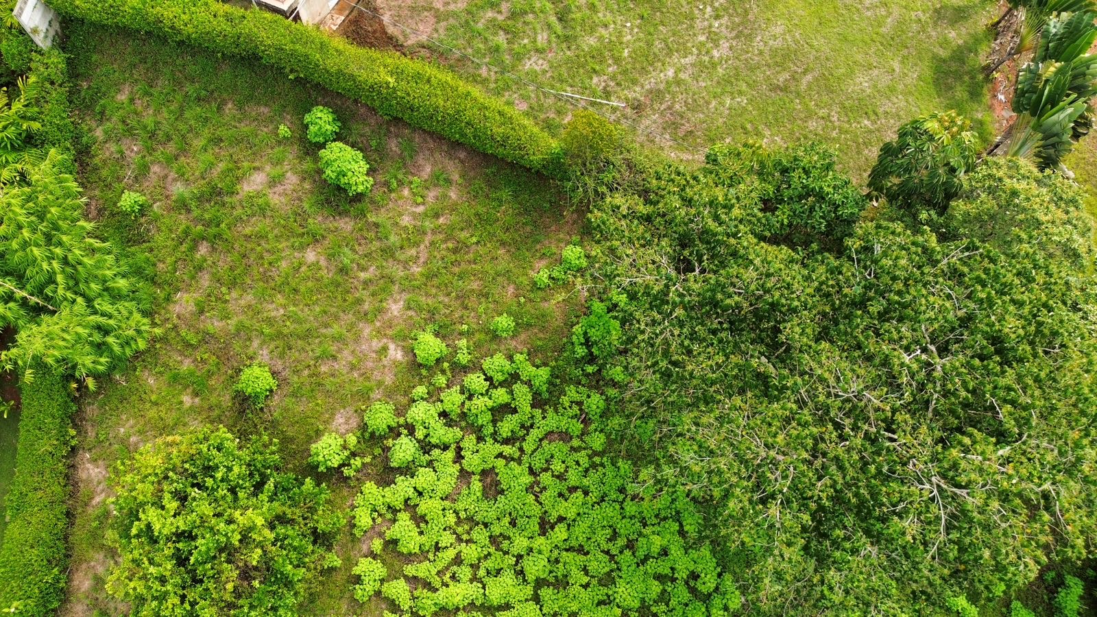 0 bed Land For Sale in Ojochal, Puntarenas - thumb 4