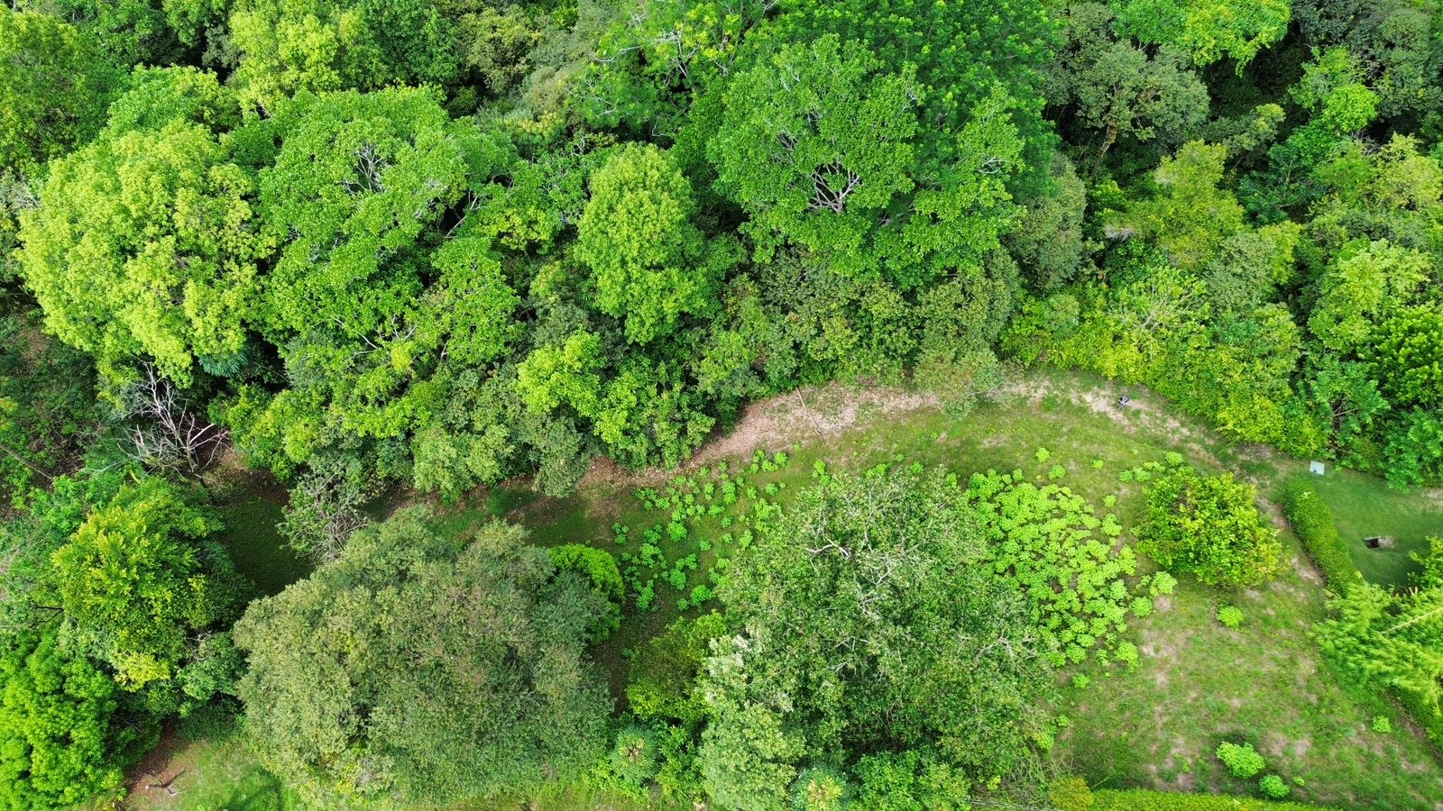 0 bed Land For Sale in Ojochal, Puntarenas - thumb 5