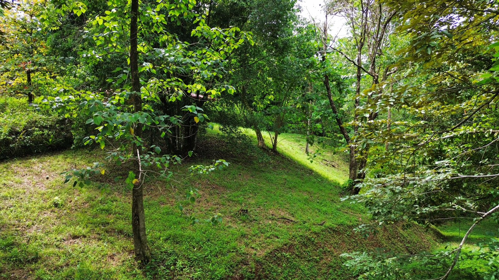 0 bed Land For Sale in Ojochal, Puntarenas - thumb 9