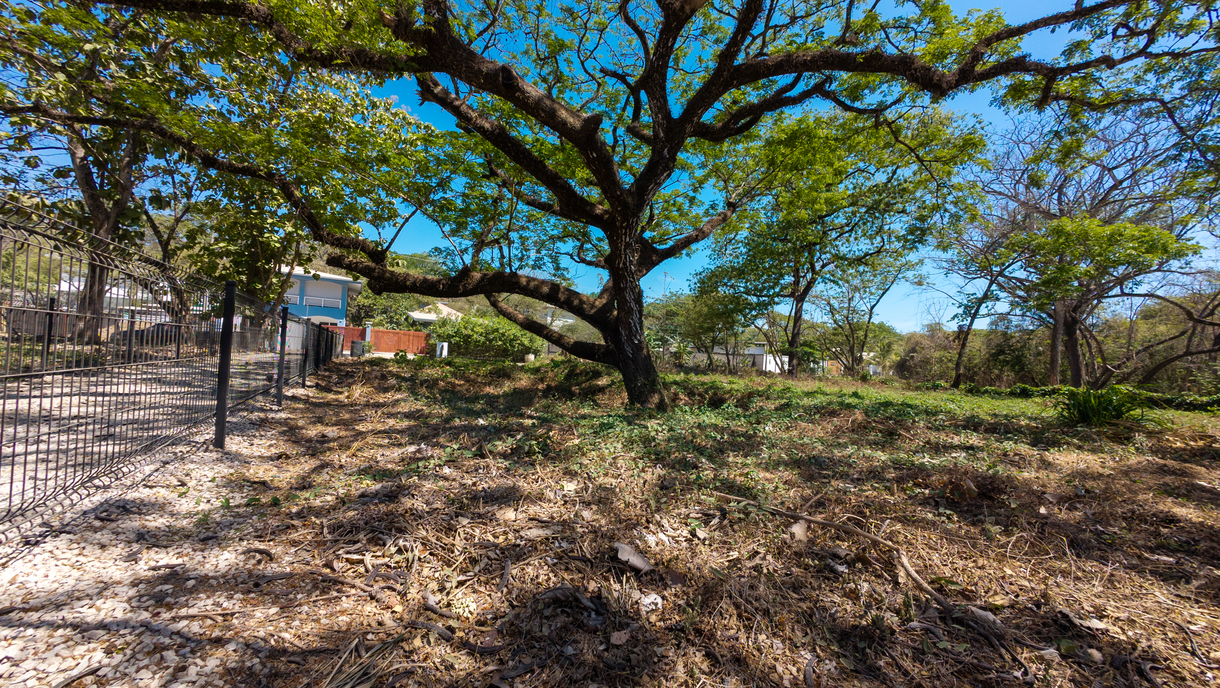 0 bed Land For Sale in Nosara, Guanacaste - thumb 4