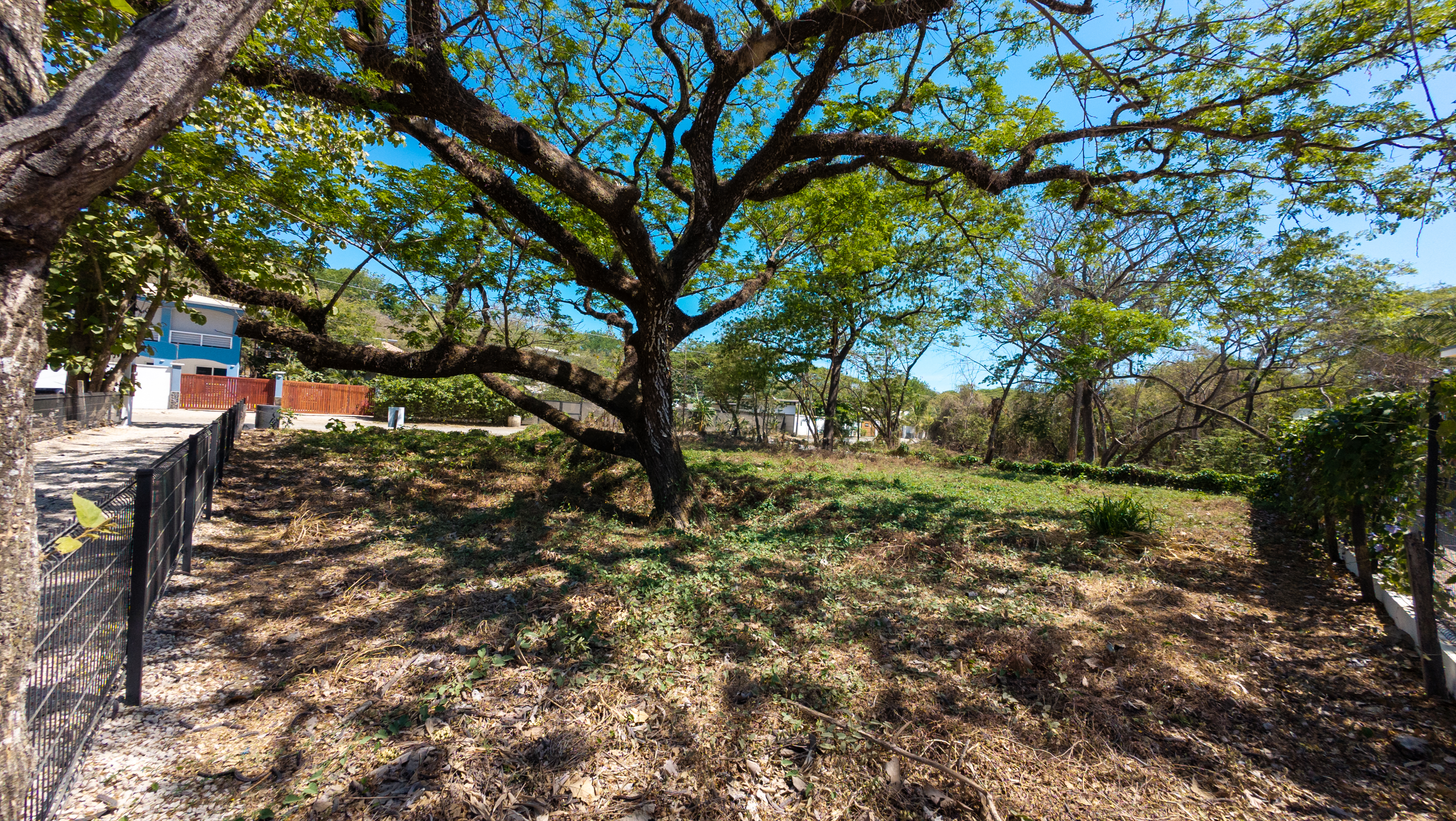 0 bed Land For Sale in Nosara, Guanacaste - thumb 3