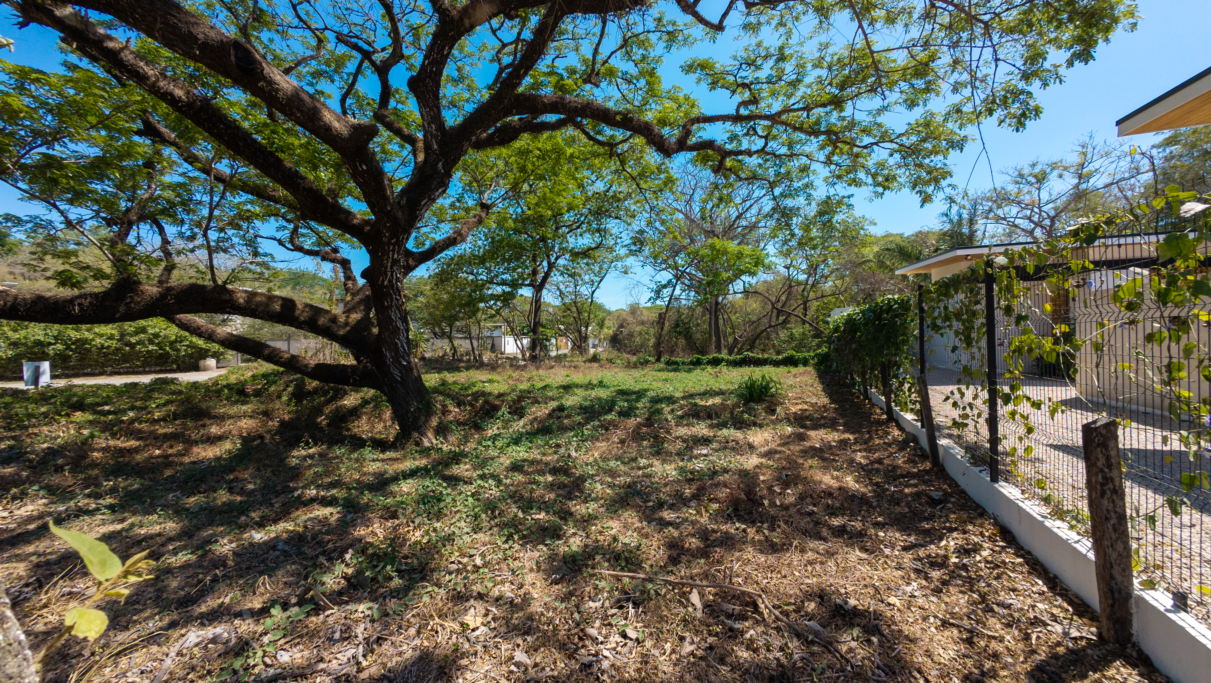 0 bed Land For Sale in Nosara, Guanacaste - thumb 2