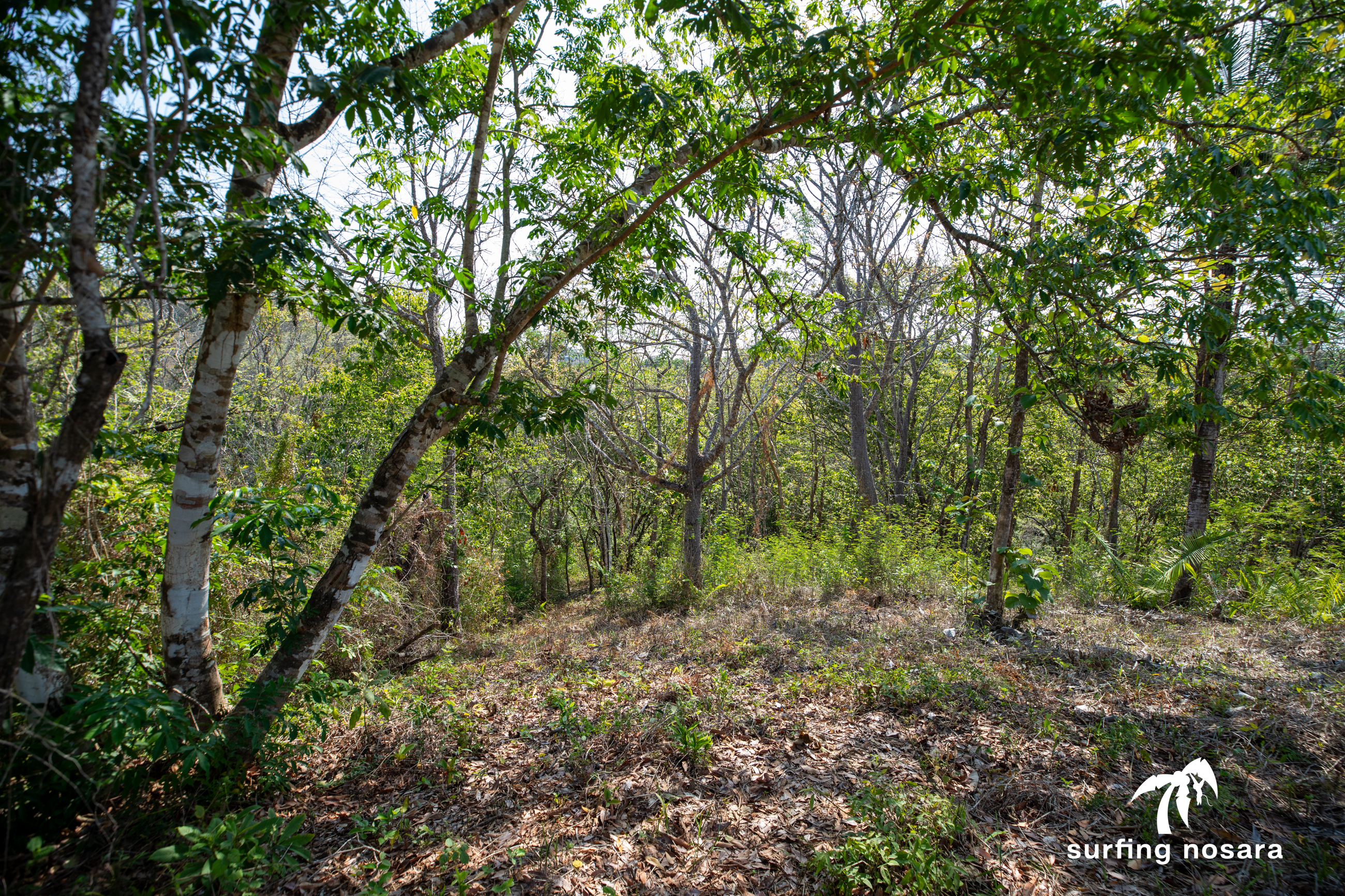 0 bed Land For Sale in Ostional, Guanacaste - thumb 5