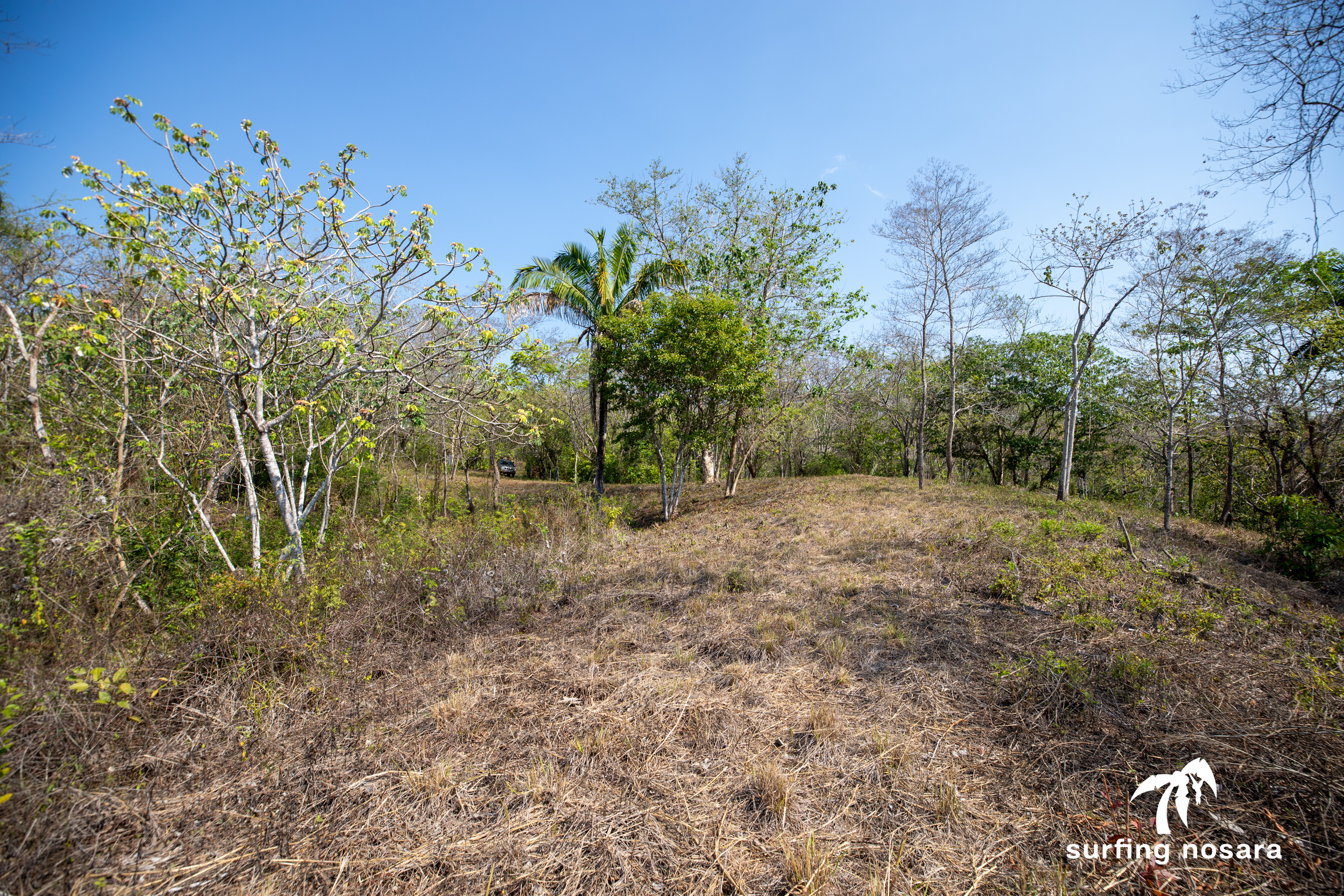 0 bed Land For Sale in Ostional, Guanacaste - thumb 6
