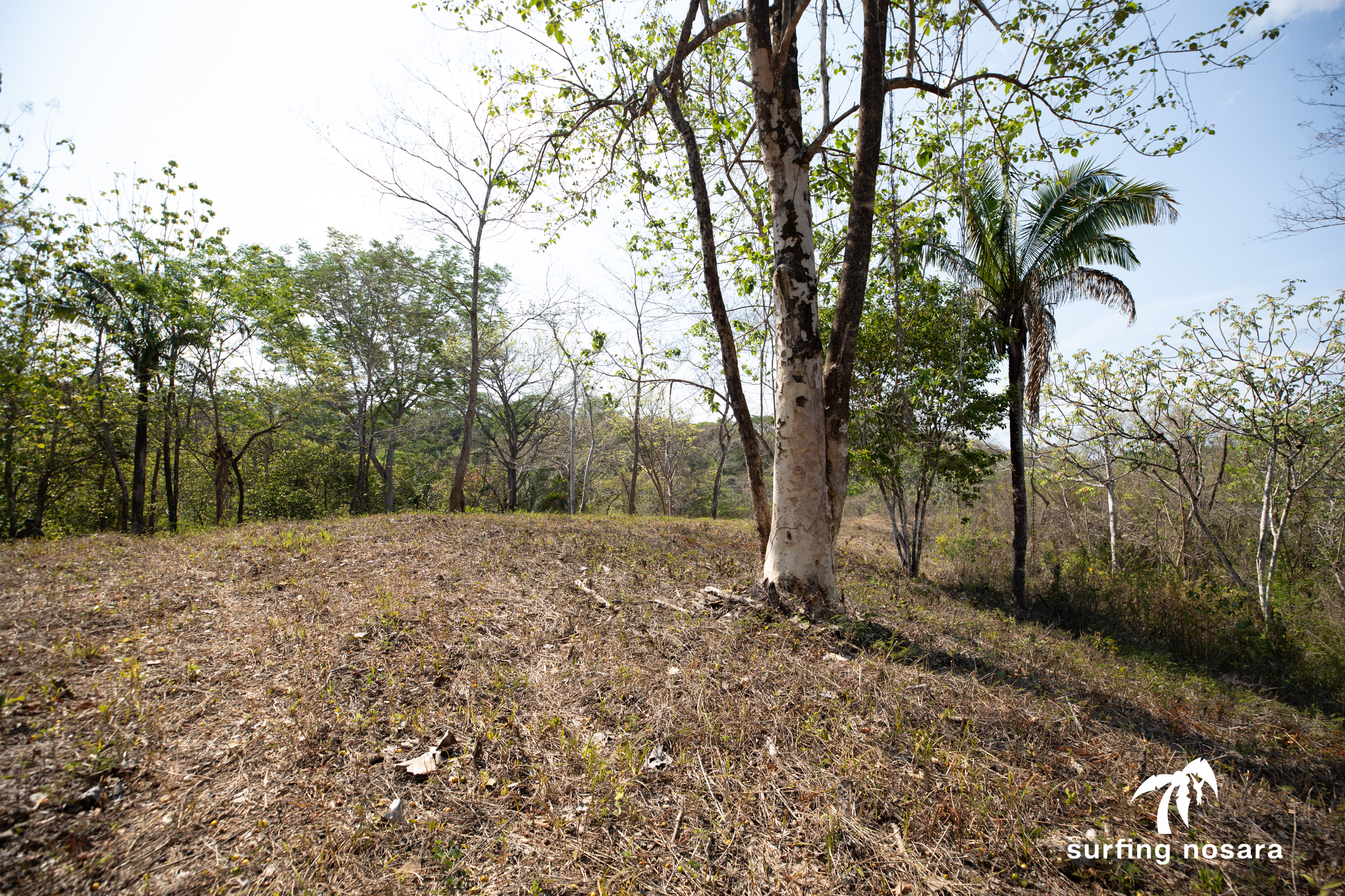 0 bed Land For Sale in Ostional, Guanacaste - thumb 3