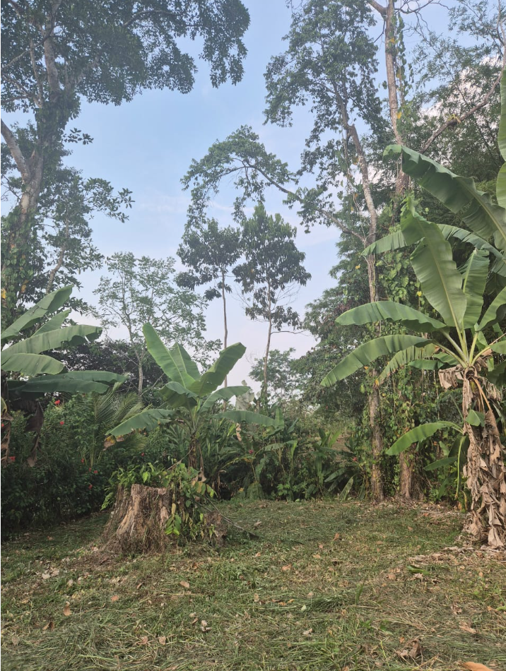 0 bed Land For Sale in La Fortuna, Alajuela - thumb 6