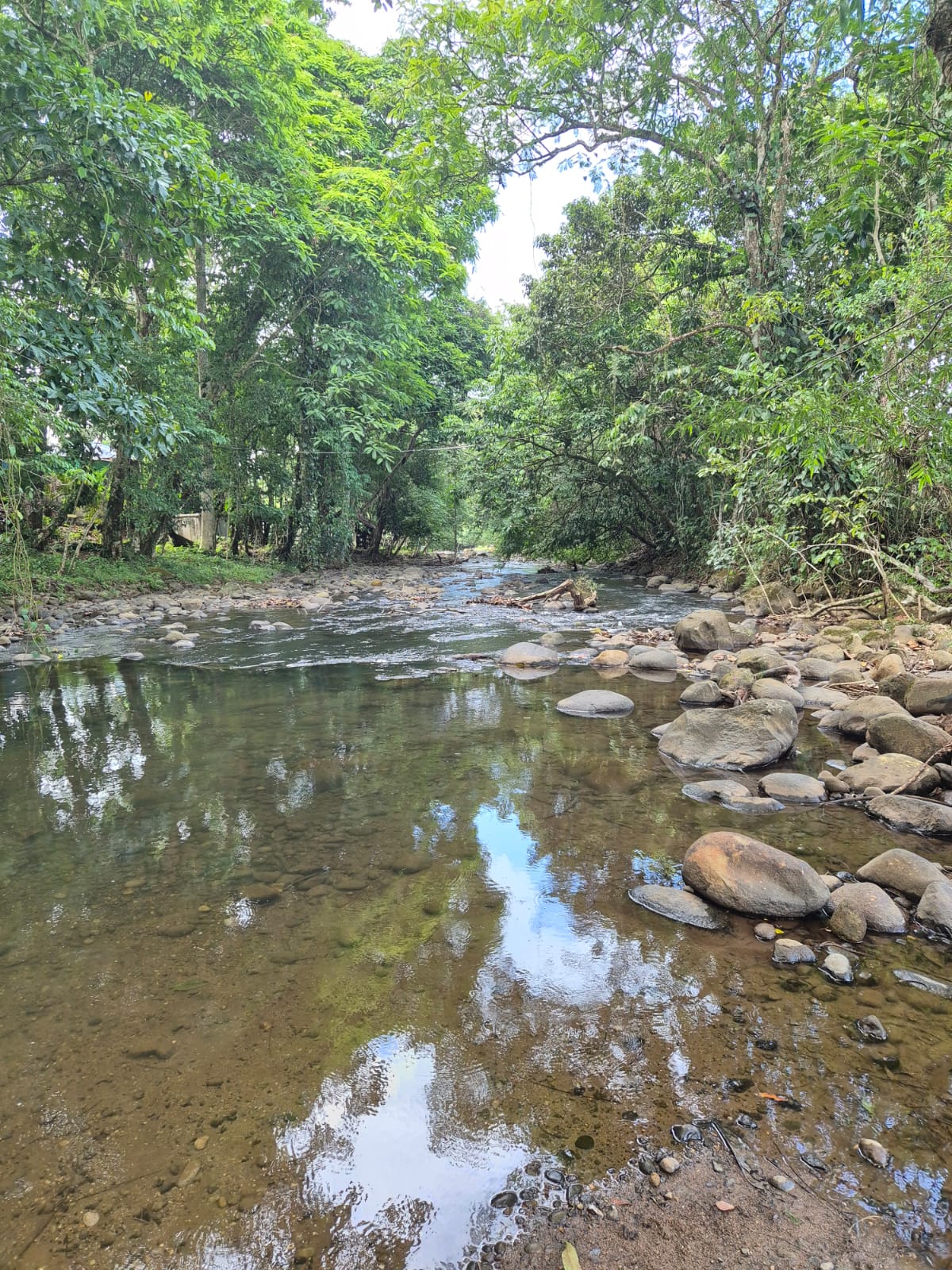 0 bed Land For Sale in La Fortuna, Alajuela - thumb 3
