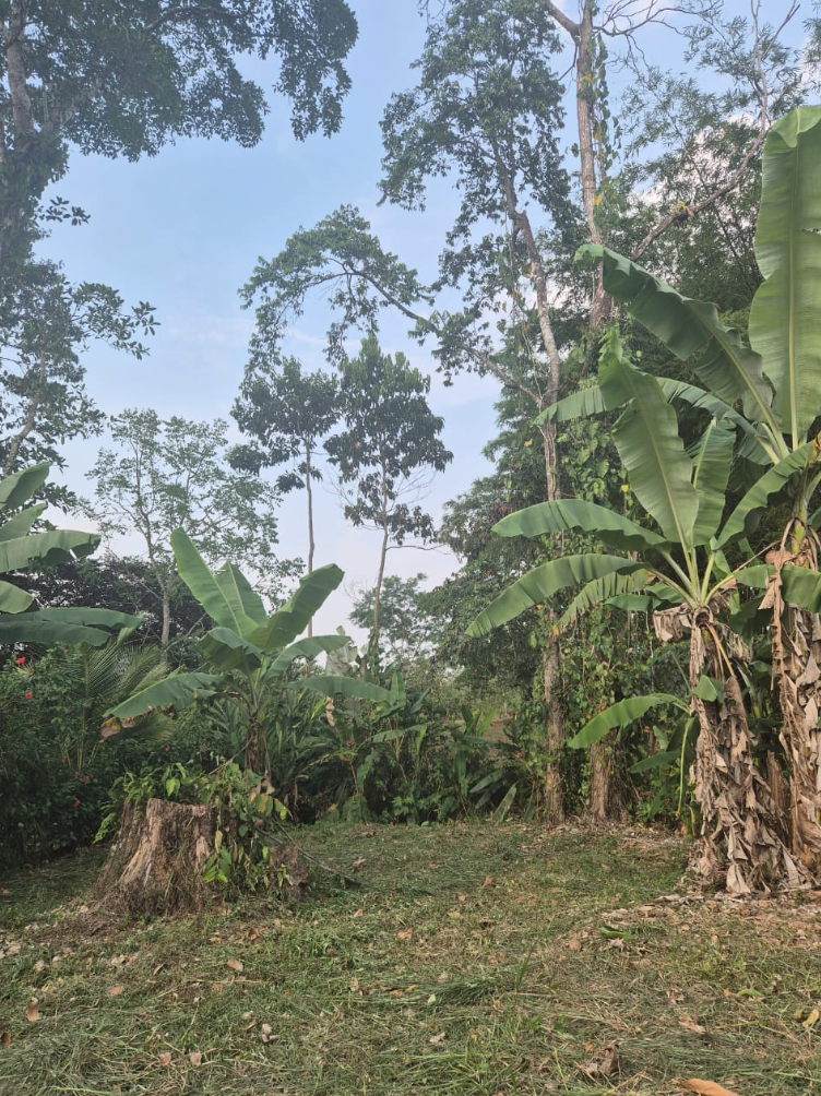 0 bed Land For Sale in La Fortuna, Alajuela - thumb 9