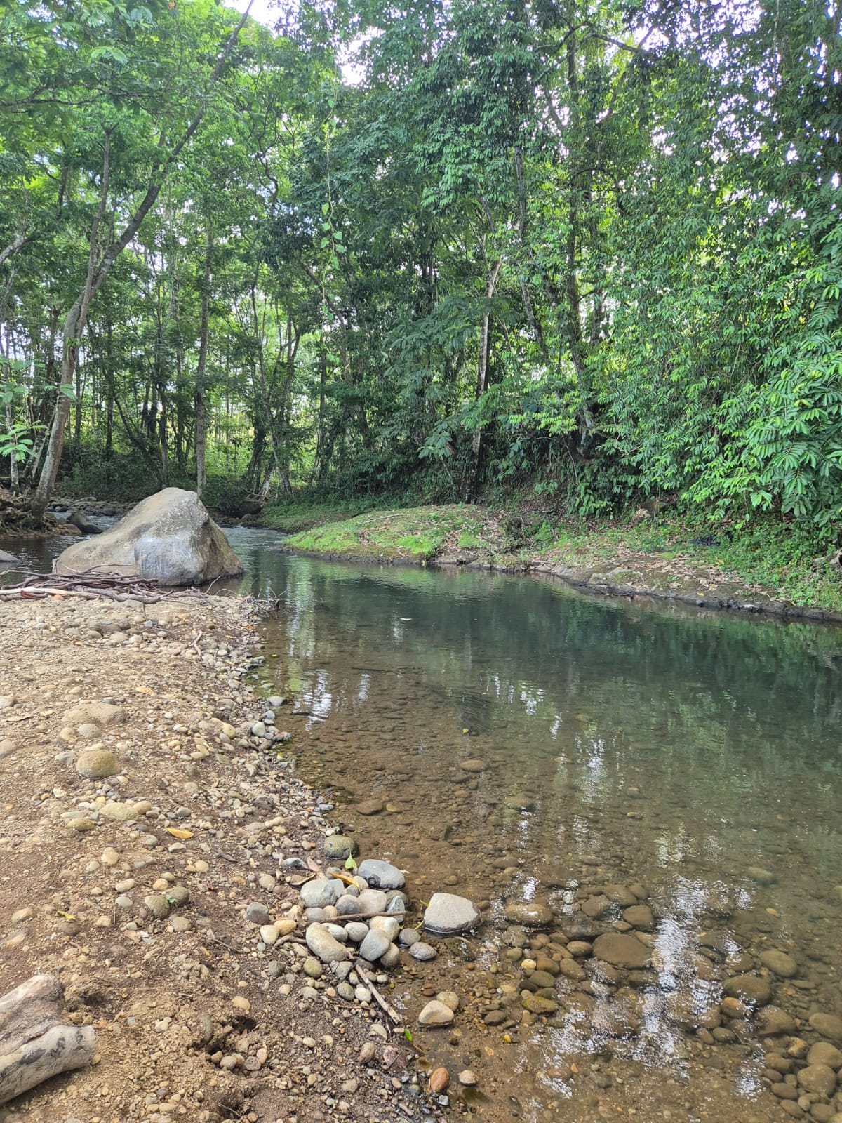 0 bed Land For Sale in La Fortuna, Alajuela - thumb 1