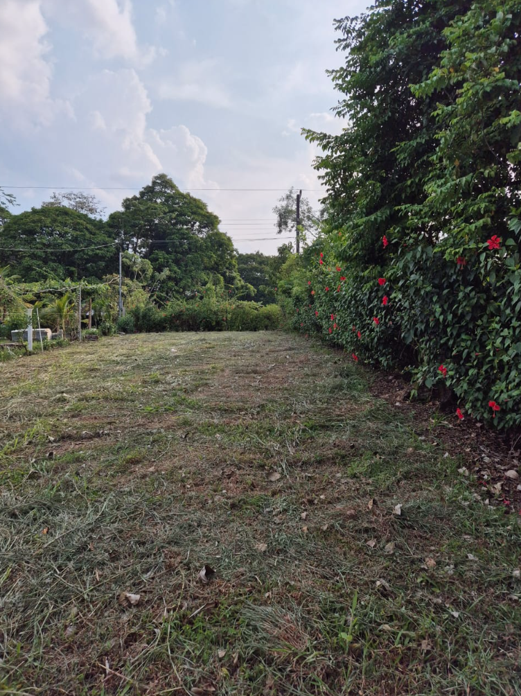 0 bed Land For Sale in La Fortuna, Alajuela - thumb 8