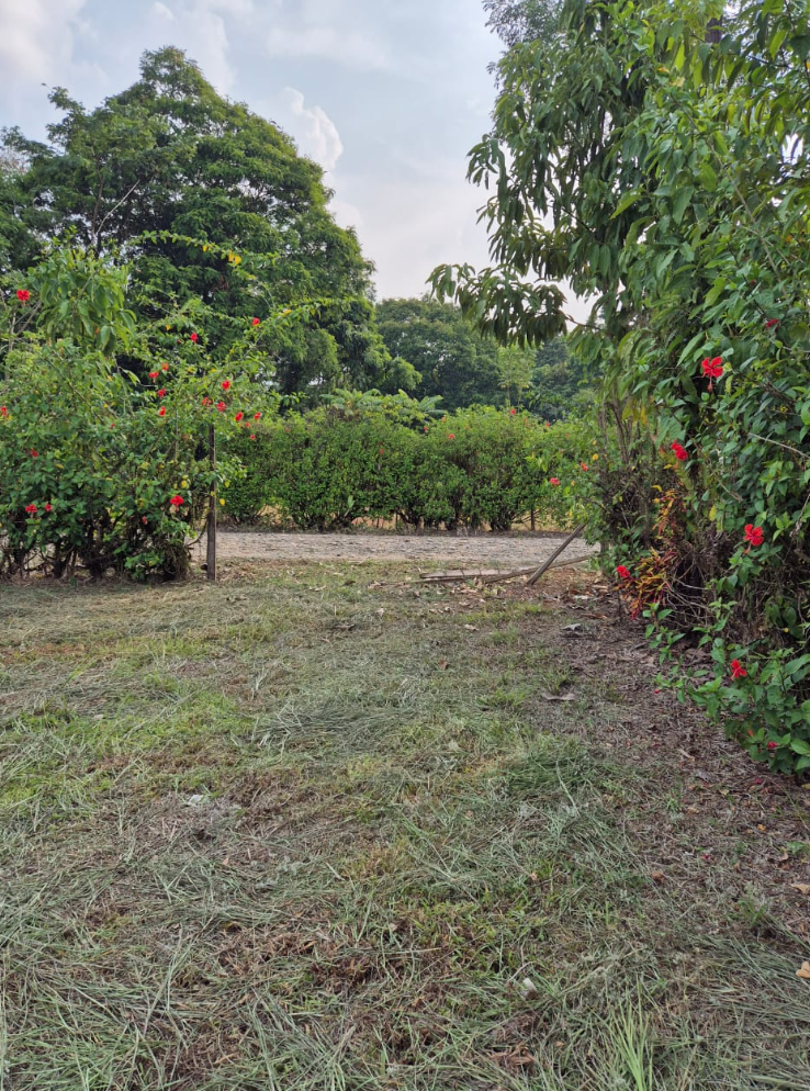 0 bed Land For Sale in La Fortuna, Alajuela - thumb 7