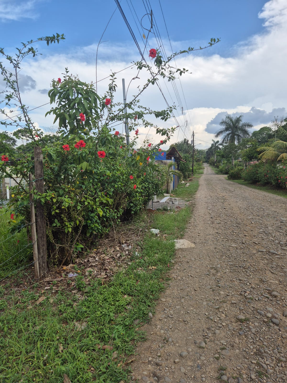 0 bed Land For Sale in La Fortuna, Alajuela - thumb 2