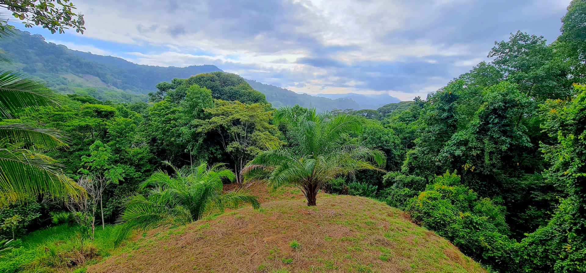 0 bed Land For Sale in Uvita, Puntarenas - thumb 7