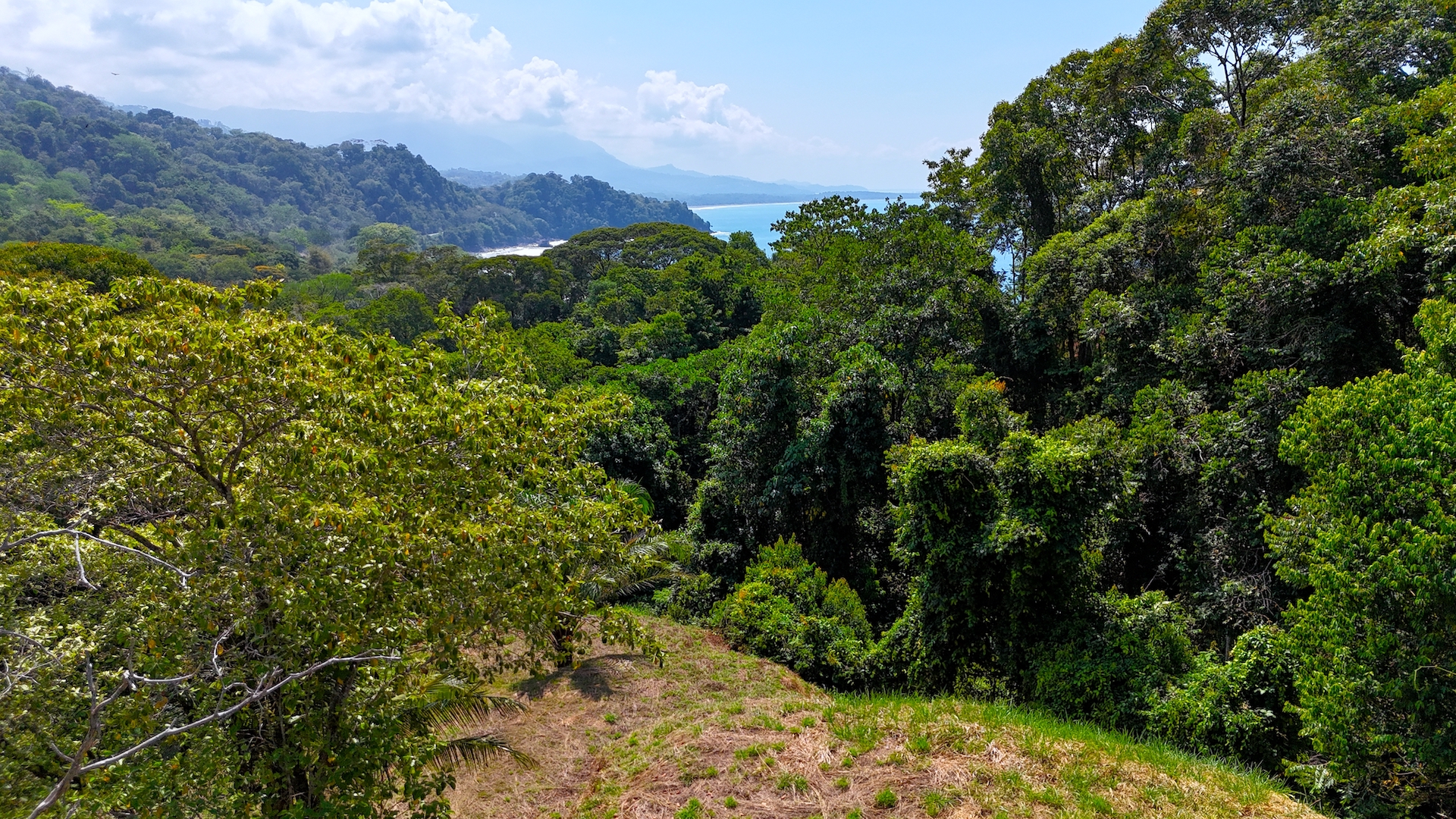 0 bed Land For Sale in Uvita, Puntarenas - thumb 4