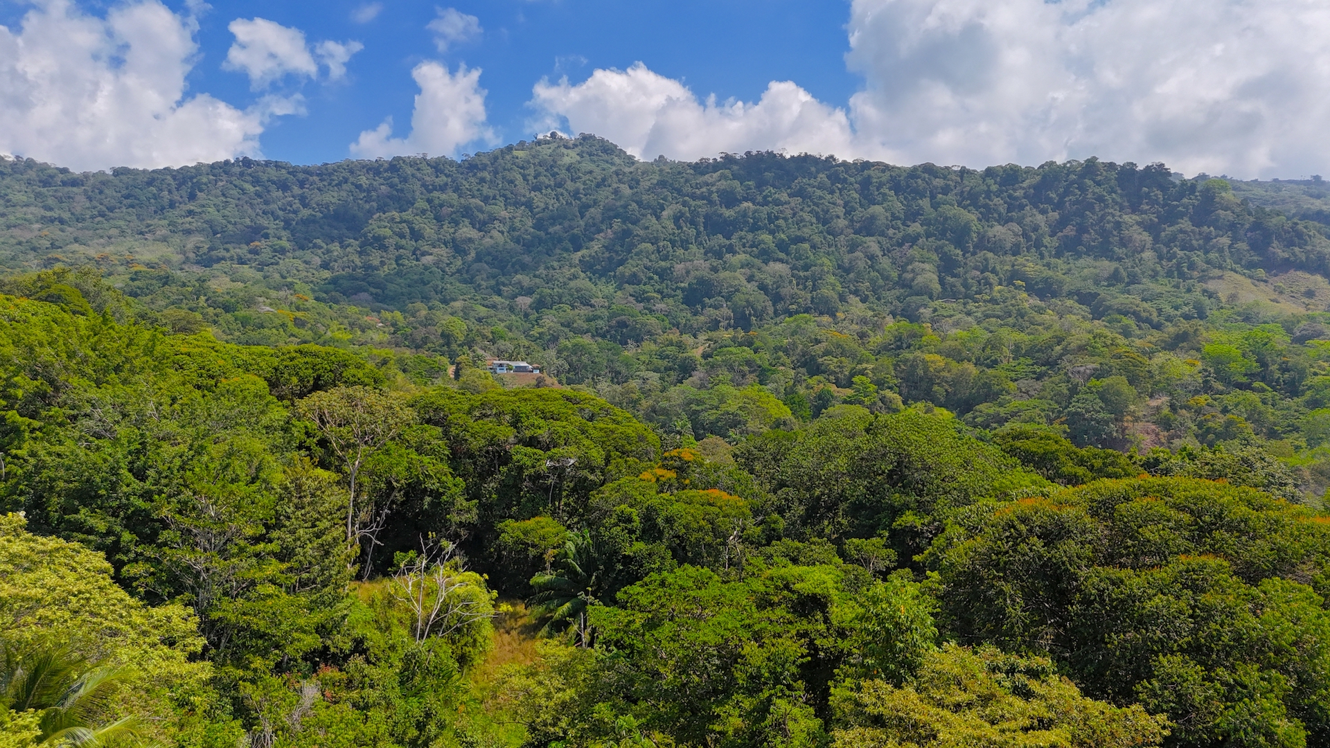 0 bed Land For Sale in Uvita, Puntarenas - thumb 8