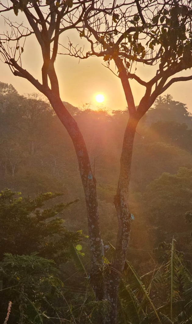 0 bed Land For Sale in Alajuela, Alajuela - thumb 6