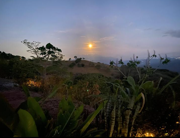 0 bed Land For Sale in Alajuela, Alajuela - thumb 8