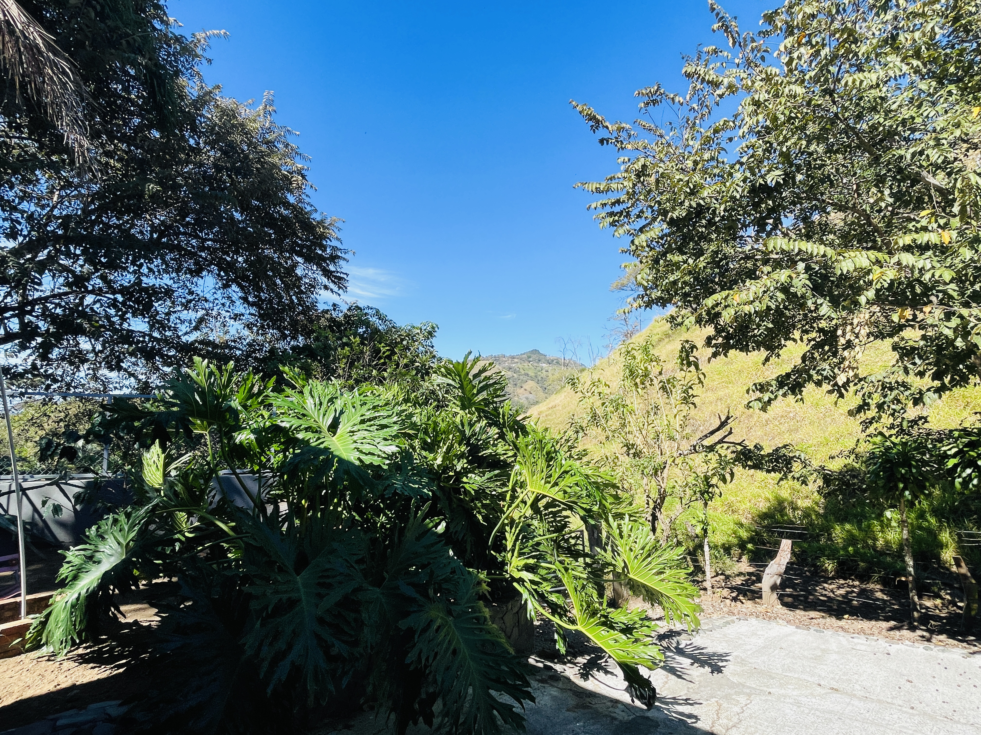 2 bed Single Family Homes For Rent in Atenas, Alajuela - thumb 4