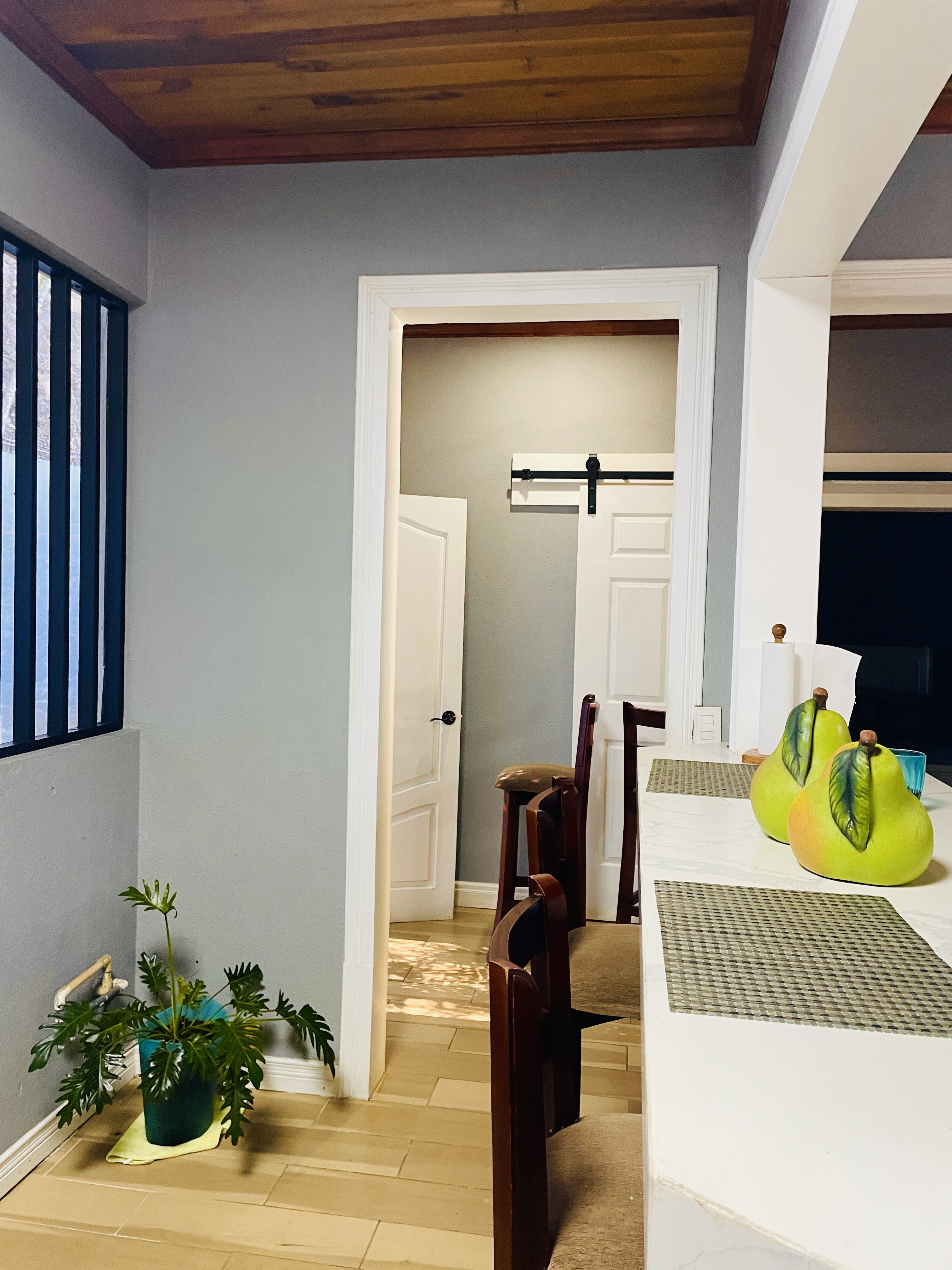 2 bed Single Family Homes For Rent in Atenas, Alajuela - thumb 5