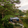  - Private Jungle Hillside Retreat in a Wildlife Corridor