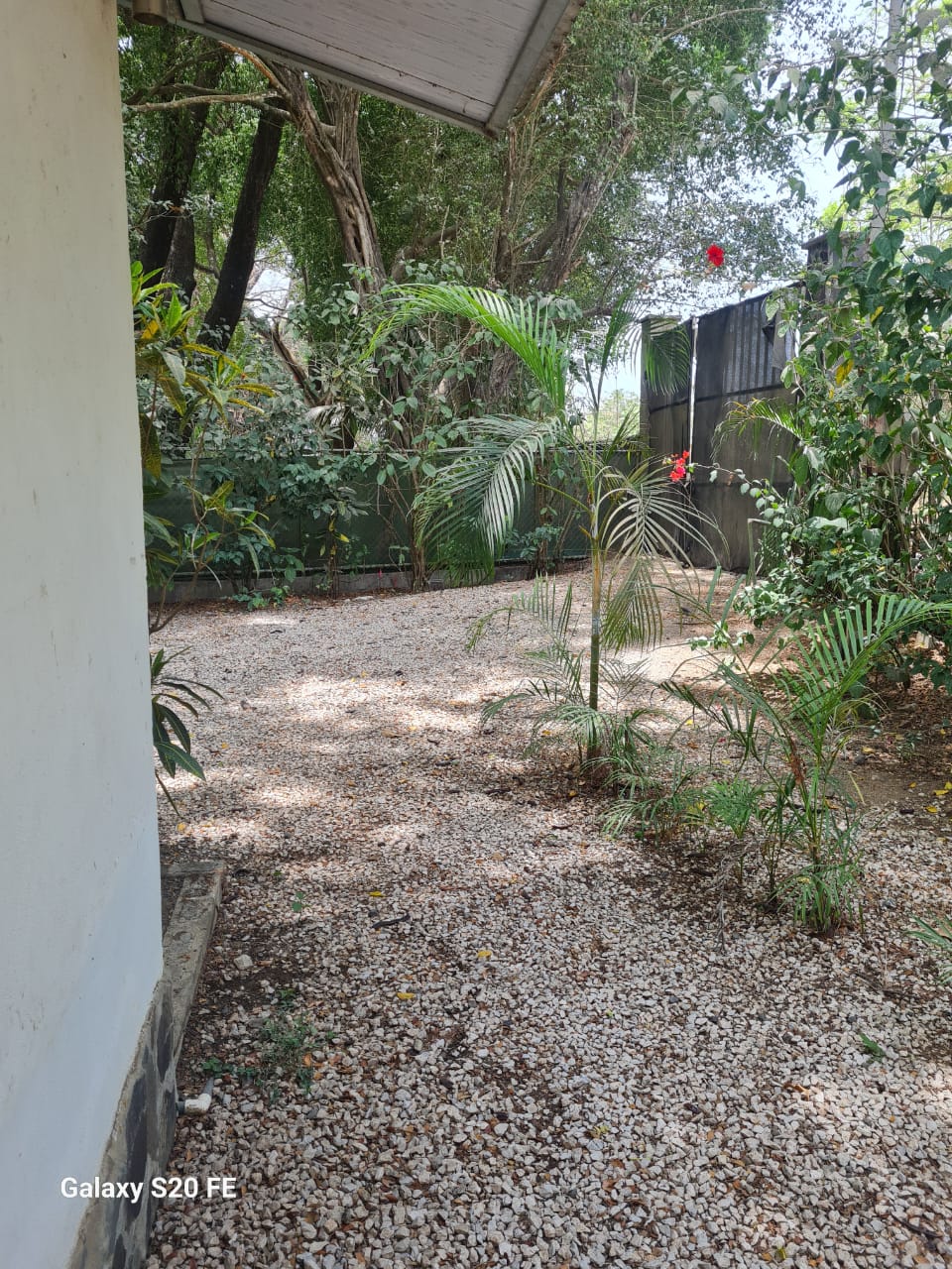 2 bed Single Family Homes For Sale in Samara, Guanacaste - thumb 9