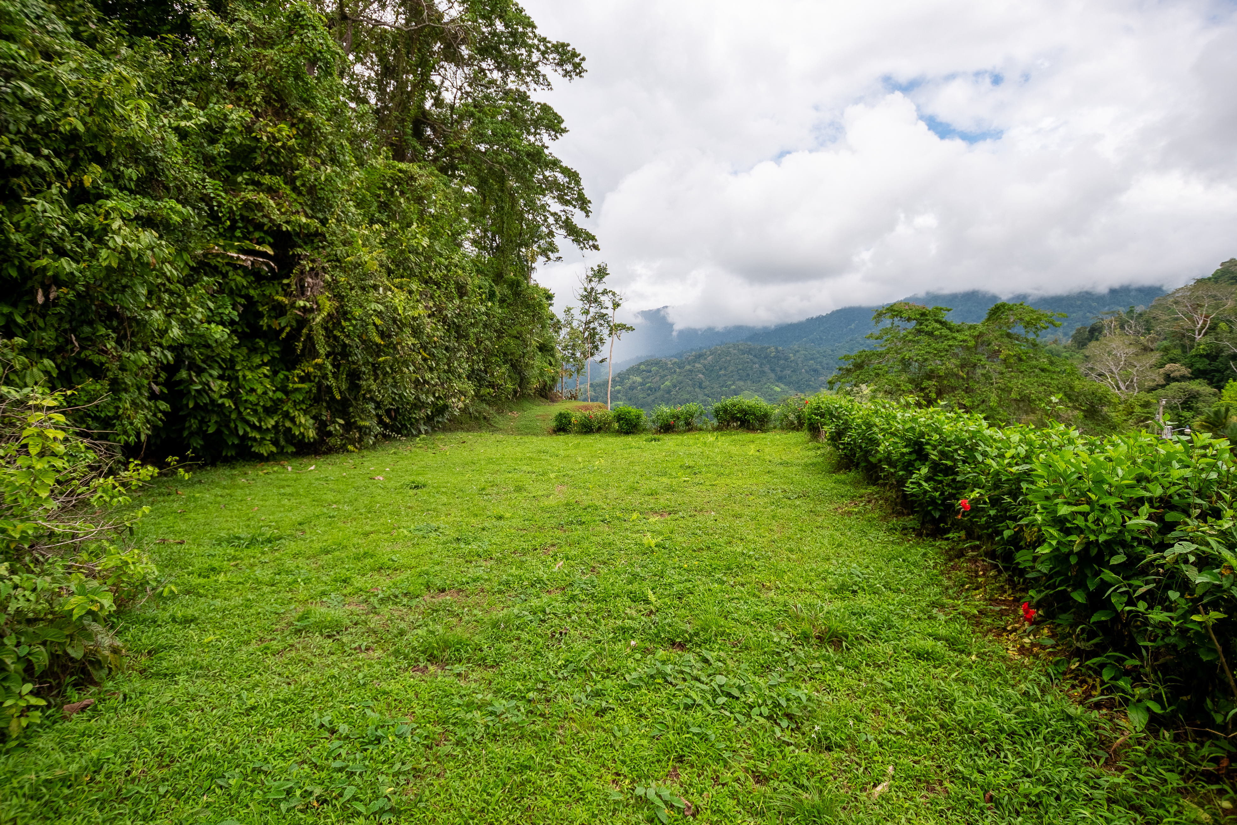 0 bed Land For Sale in Ojochal, Puntarenas - thumb 19