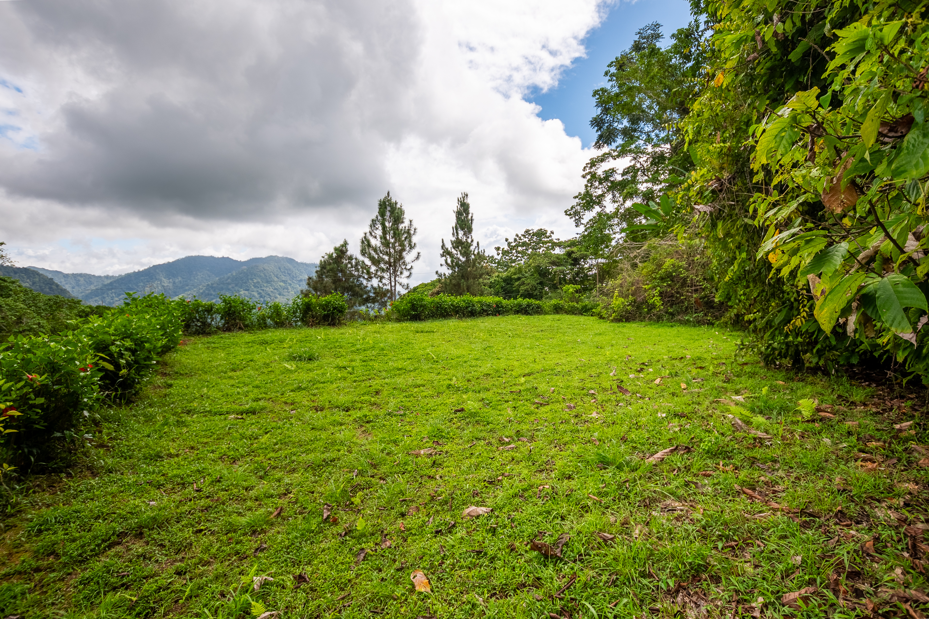 0 bed Land For Sale in Ojochal, Puntarenas - thumb 18