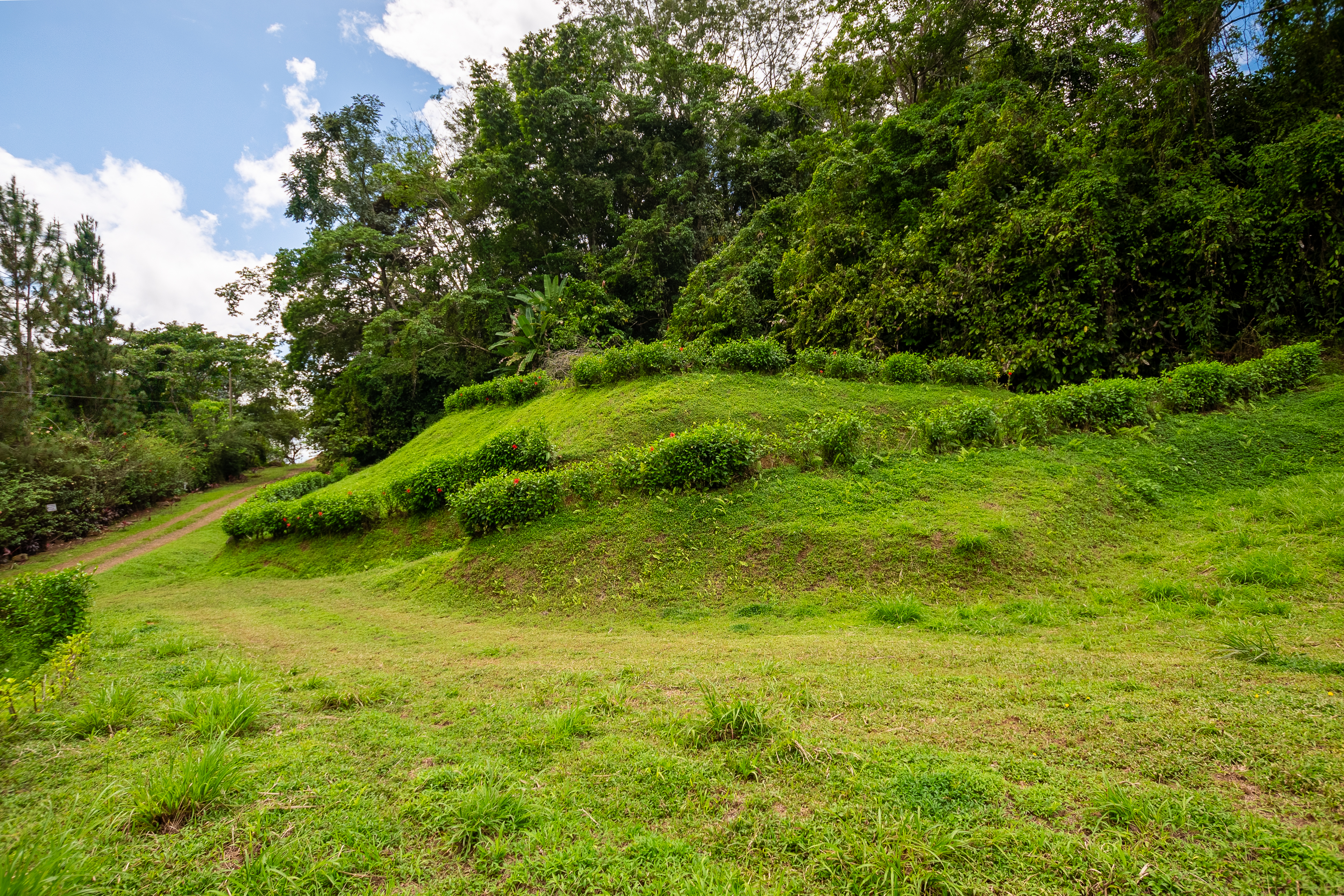 0 bed Land For Sale in Ojochal, Puntarenas - thumb 15