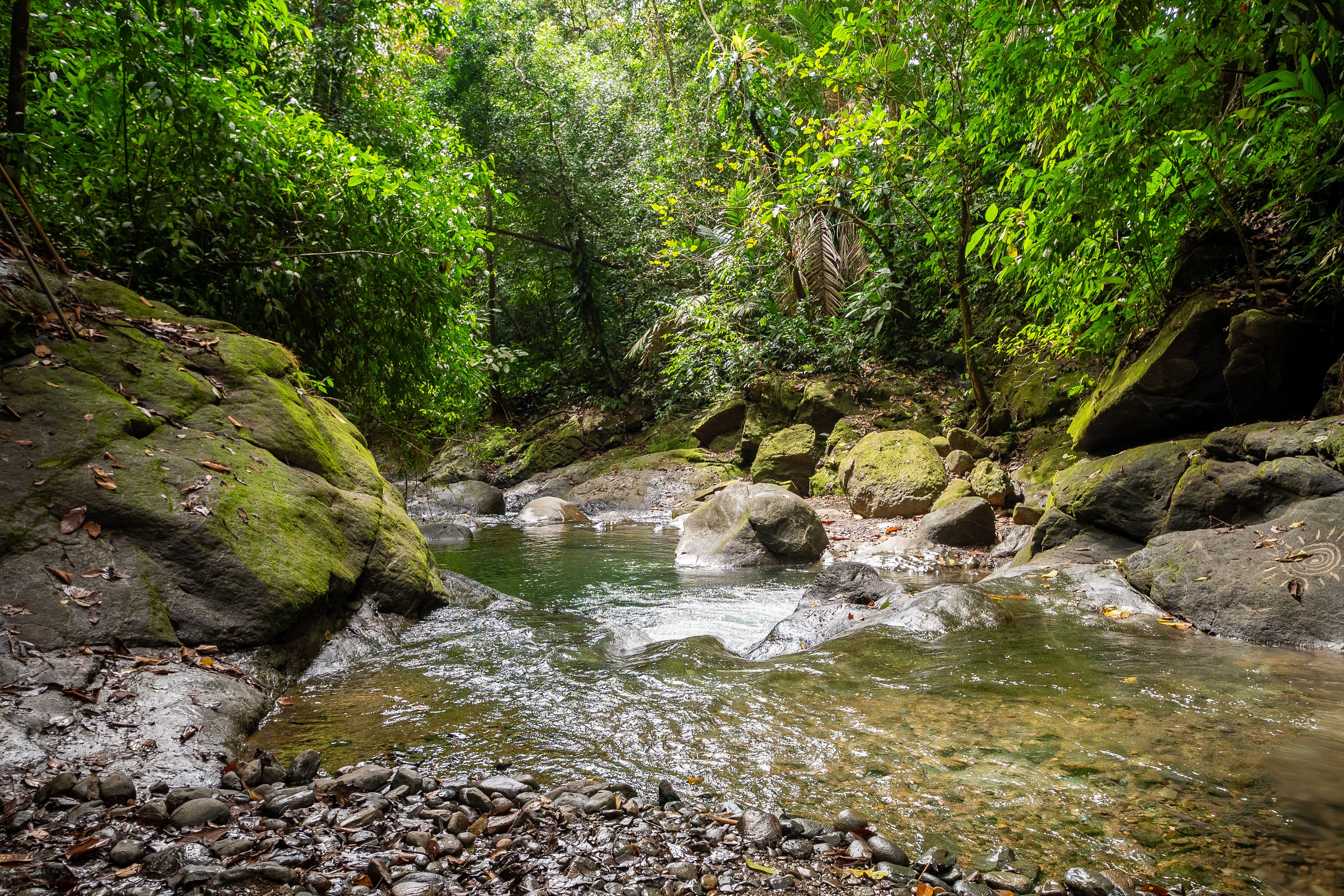 0 bed Land For Sale in Ojochal, Puntarenas - thumb 23