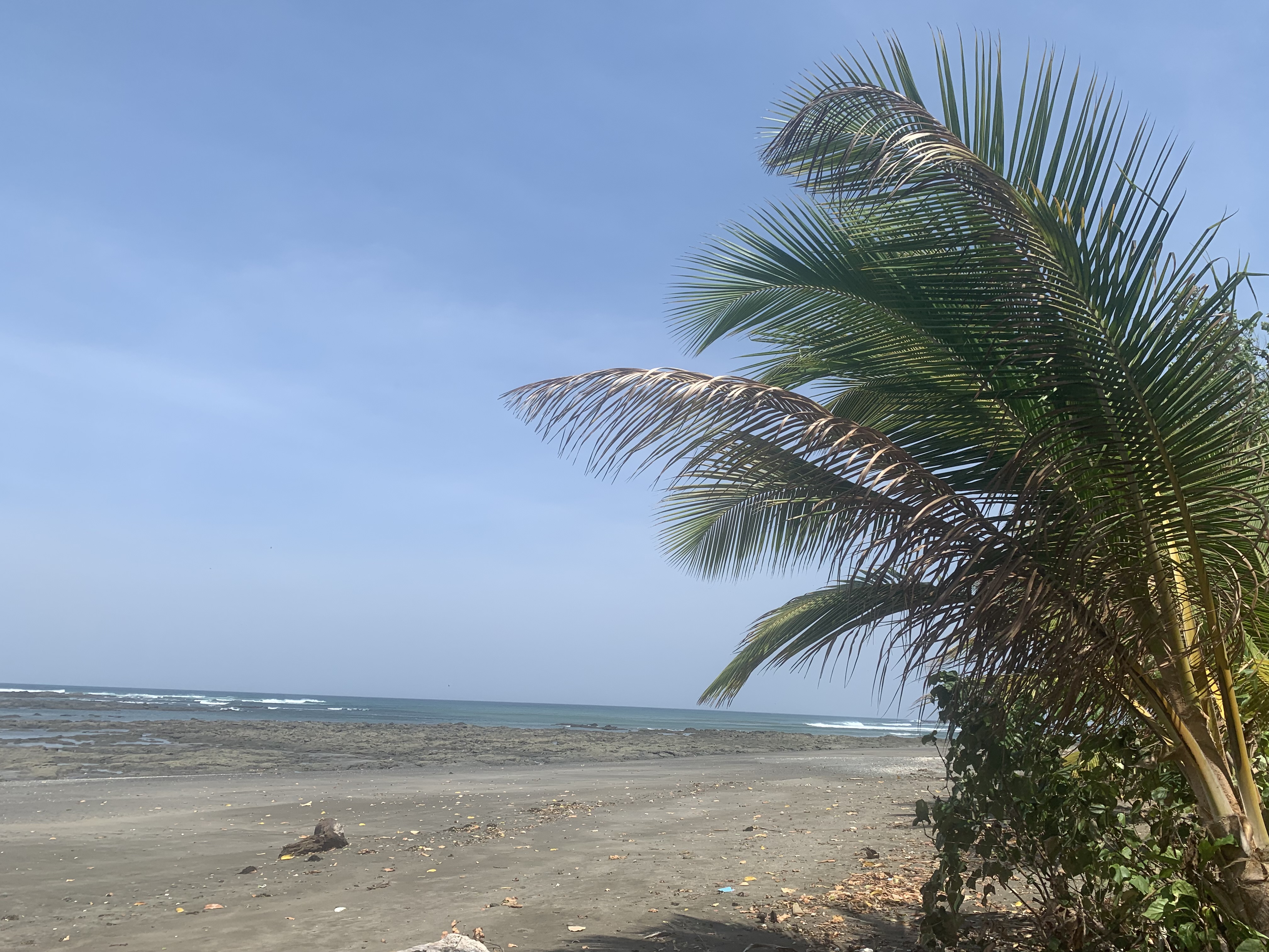 0 bed Land For Sale in Lagarto, Guanacaste - thumb 6