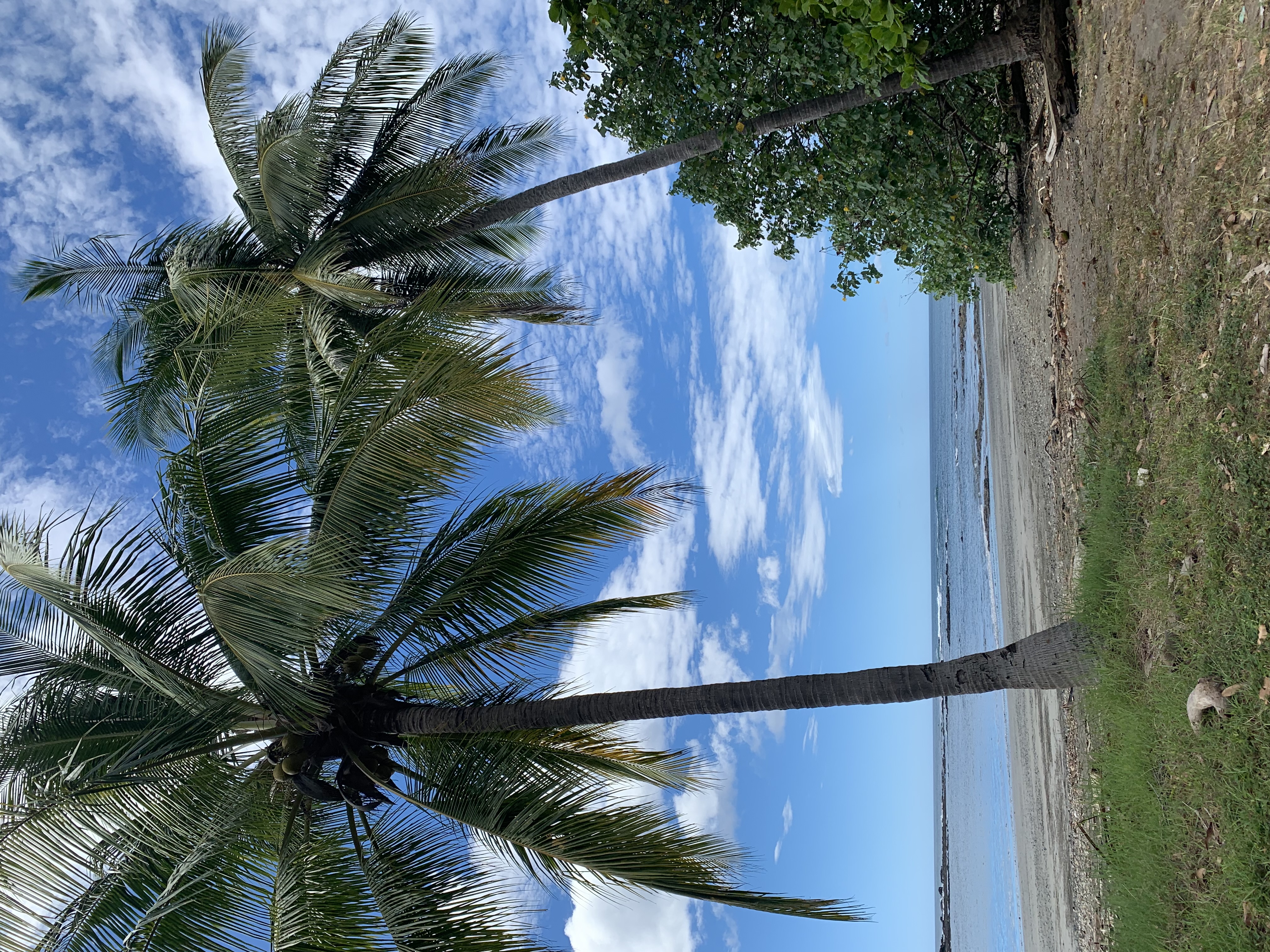 0 bed Land For Sale in Lagarto, Guanacaste - thumb 5