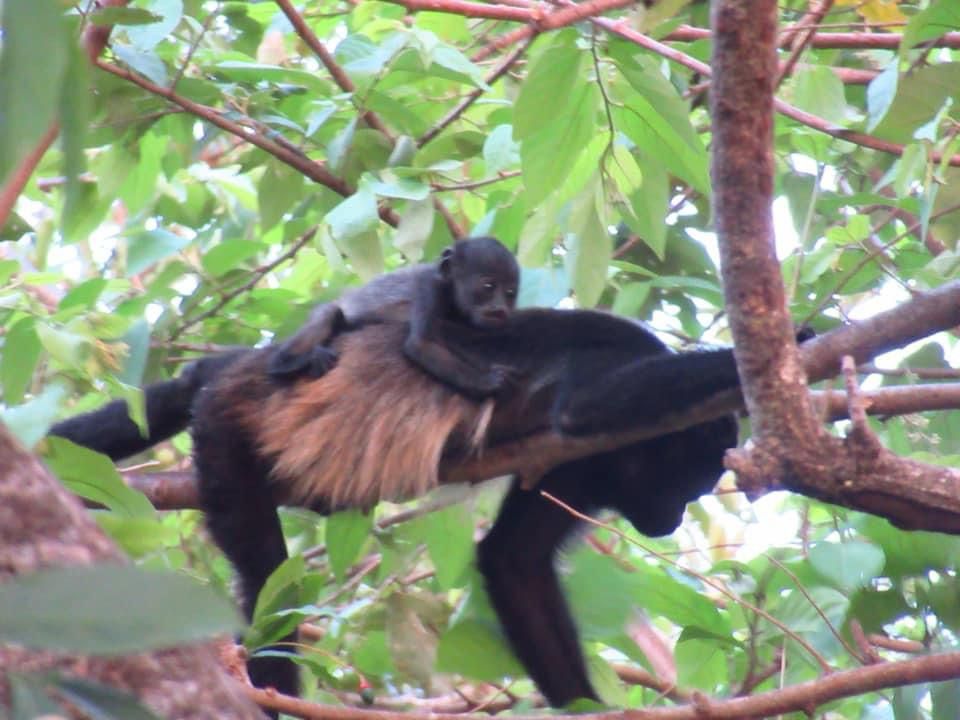 0 bed Land For Sale in Lagarto, Guanacaste - thumb 9