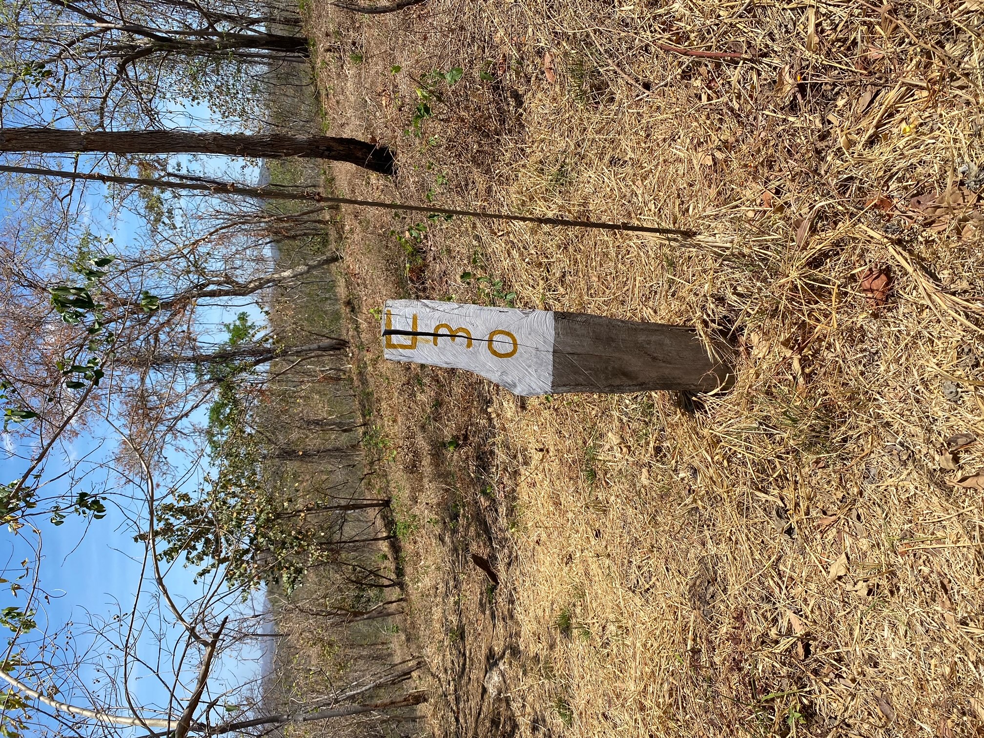 0 bed Land For Sale in Lagarto, Guanacaste - thumb 2