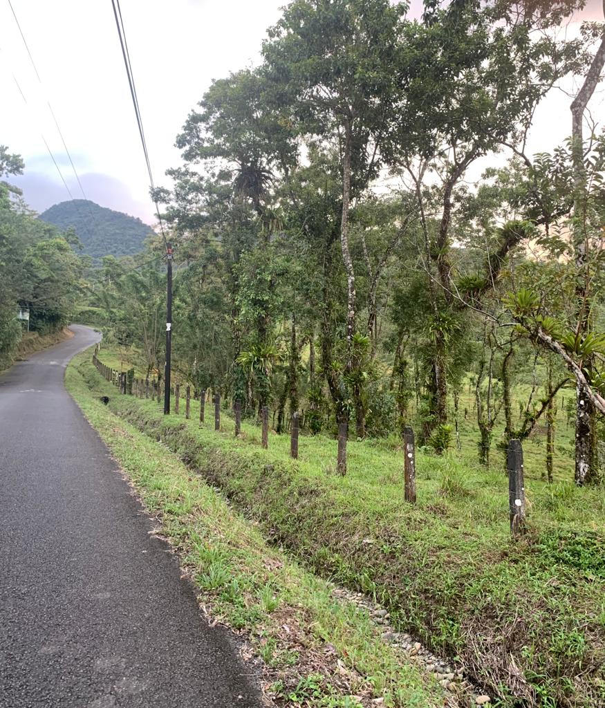 0 bed Land For Sale in La Fortuna, Alajuela - thumb 5