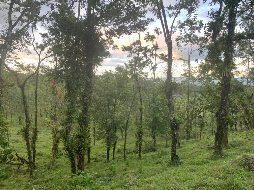 0 bed Land For Sale in La Fortuna, Alajuela - thumb 4