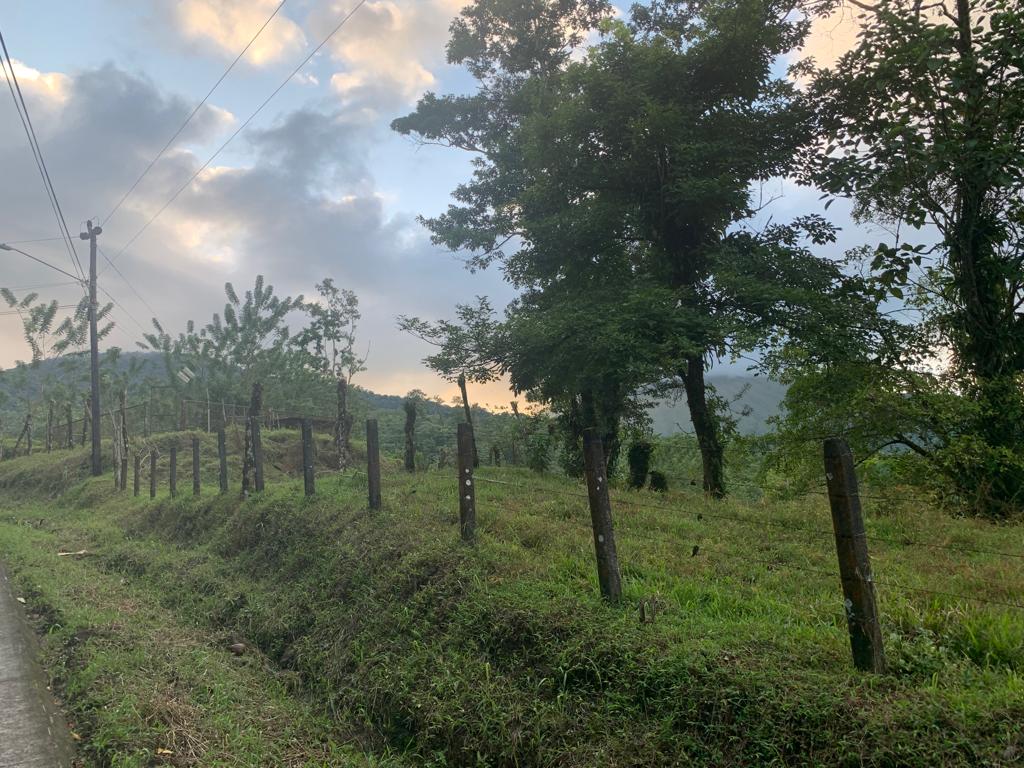 0 bed Land For Sale in La Fortuna, Alajuela - thumb 2