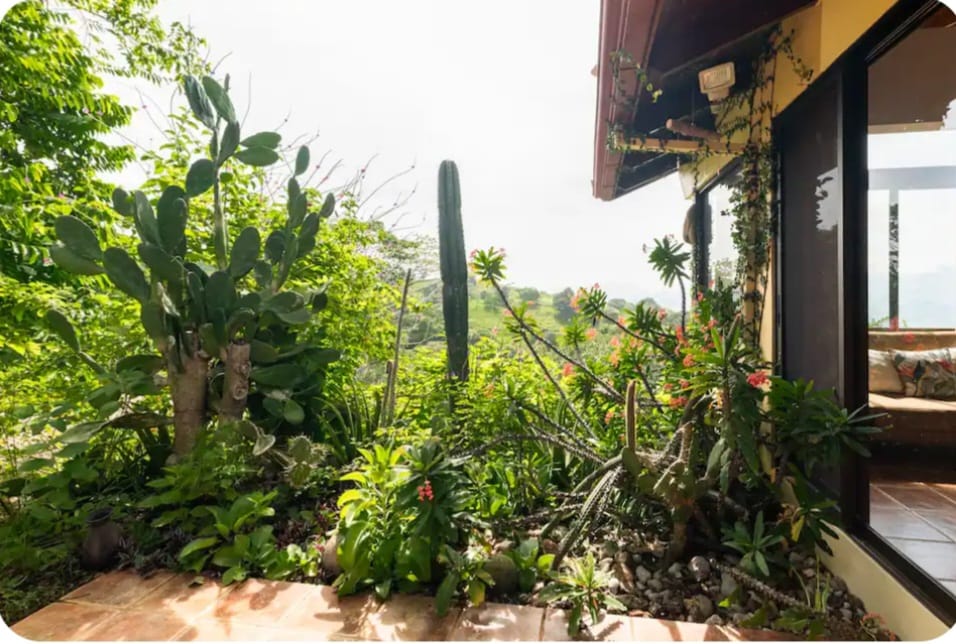 2 bed Single Family Homes For Sale in Atenas, Alajuela - thumb 9