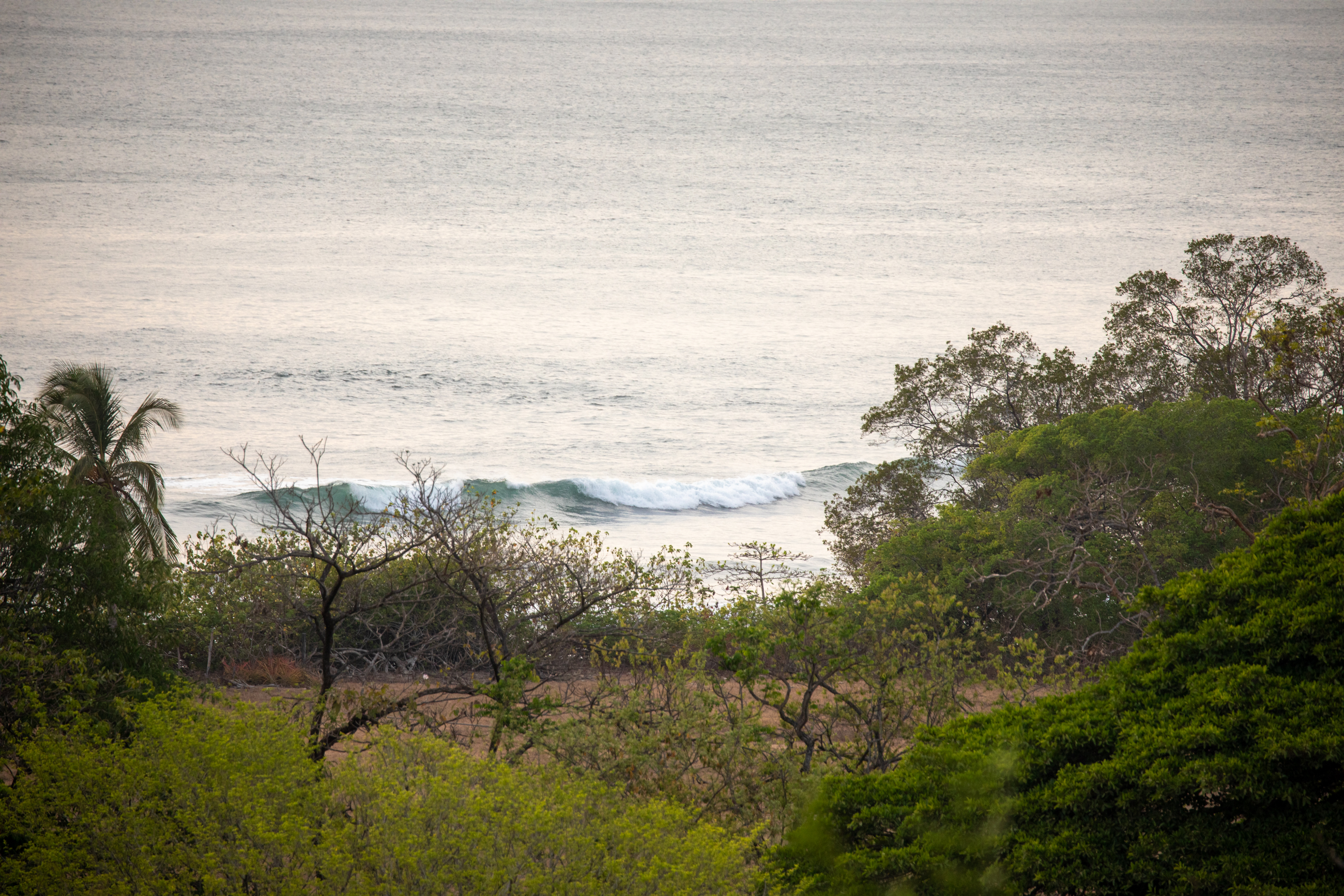 16 bed Single Family Homes For Sale in Nosara, Guanacaste - thumb 14