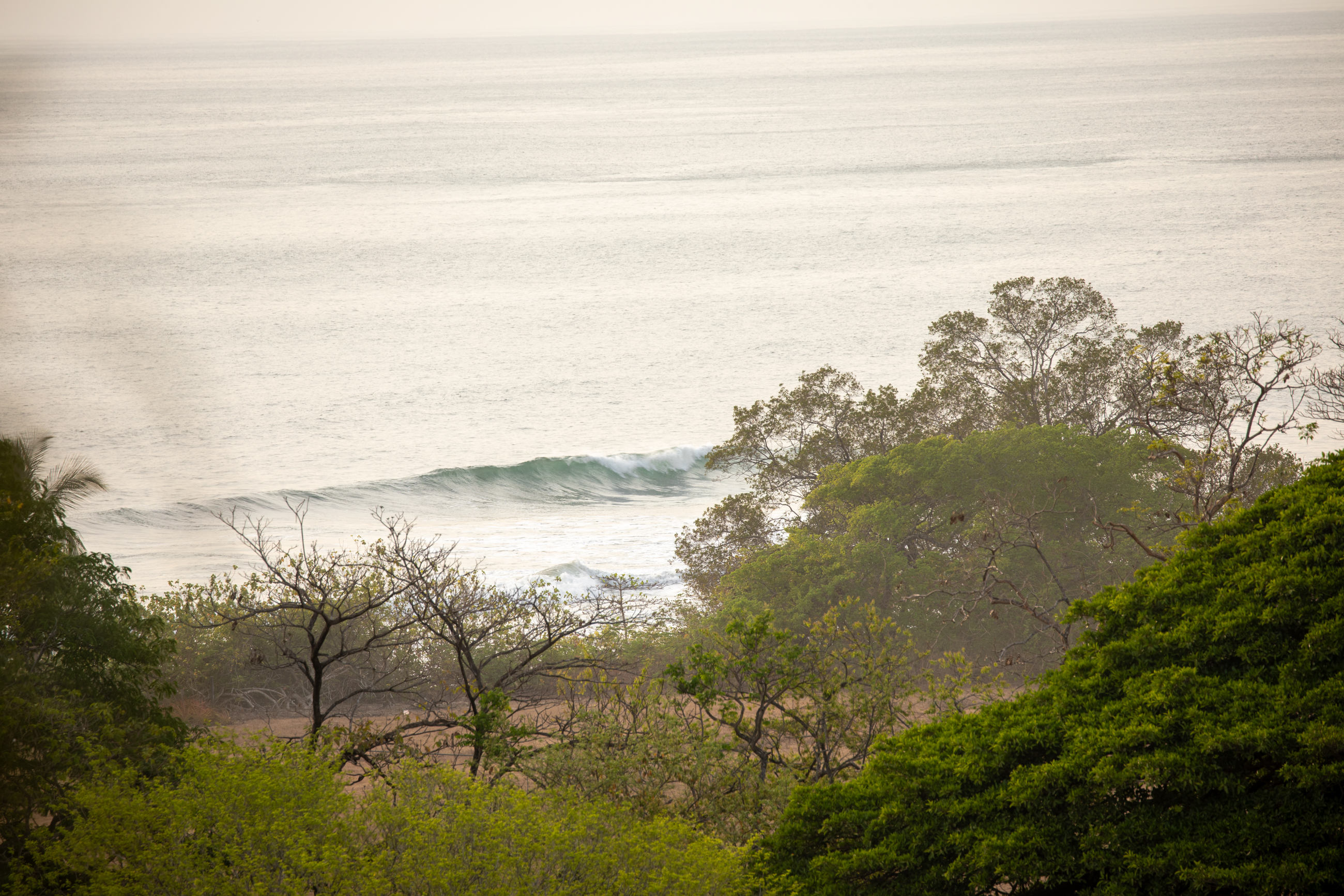 16 bed Single Family Homes For Sale in Nosara, Guanacaste - thumb 16