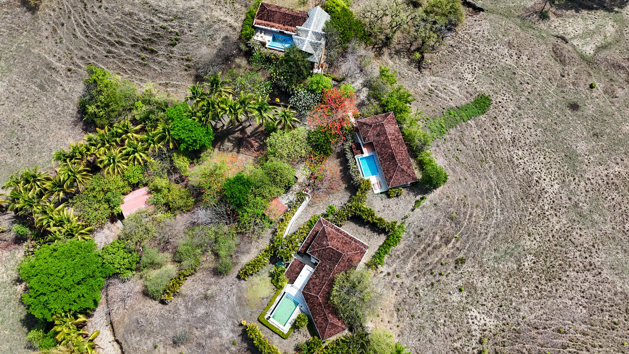 16 bed Single Family Homes For Sale in Nosara, Guanacaste - thumb 3
