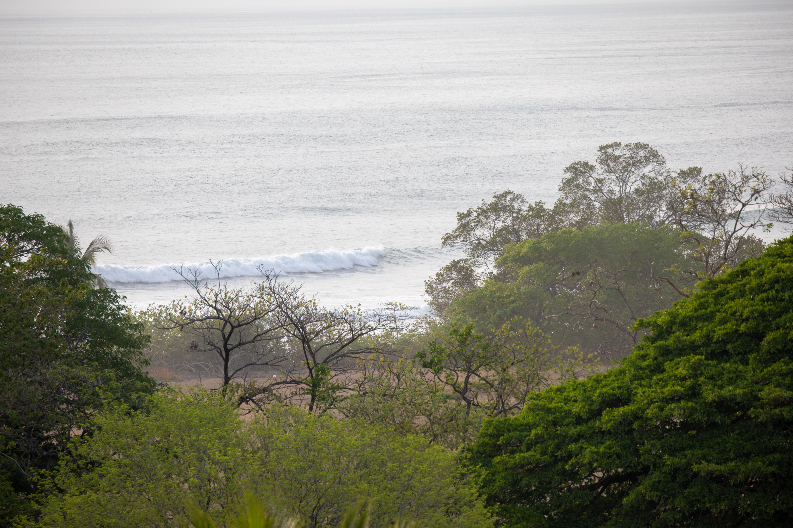 16 bed Single Family Homes For Sale in Nosara, Guanacaste - thumb 11