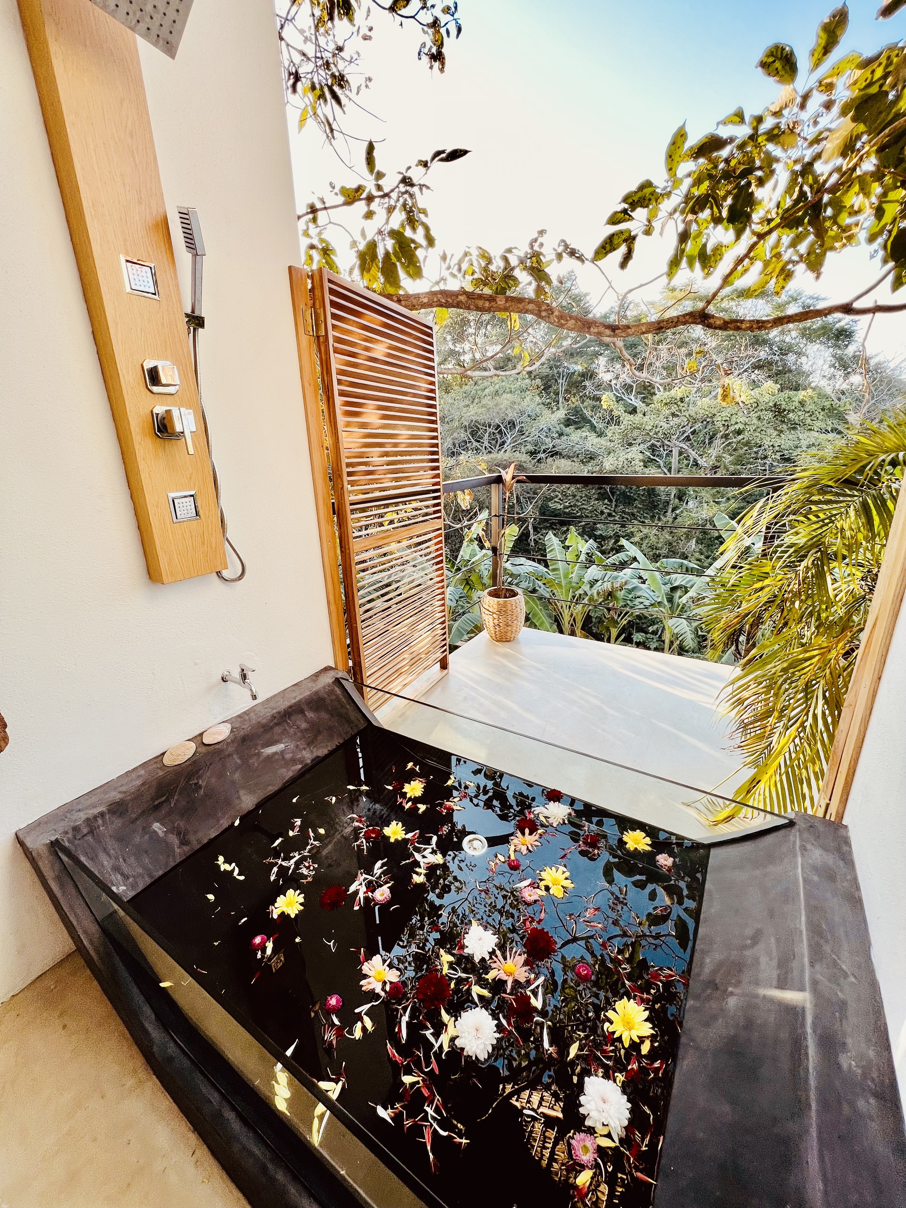 10 bed Hotel / Leisure For Sale in Santiago, Puntarenas - thumb 4